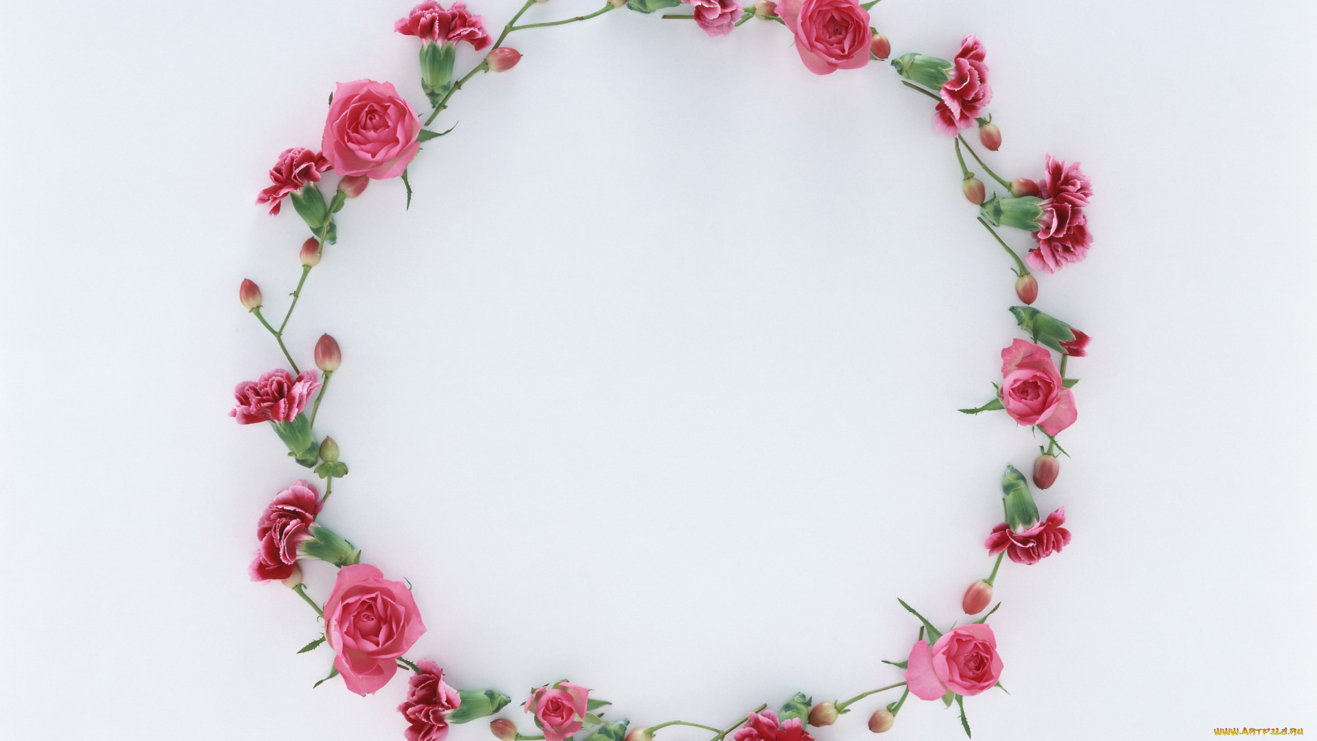 цветы, разные, вместе, бутоны