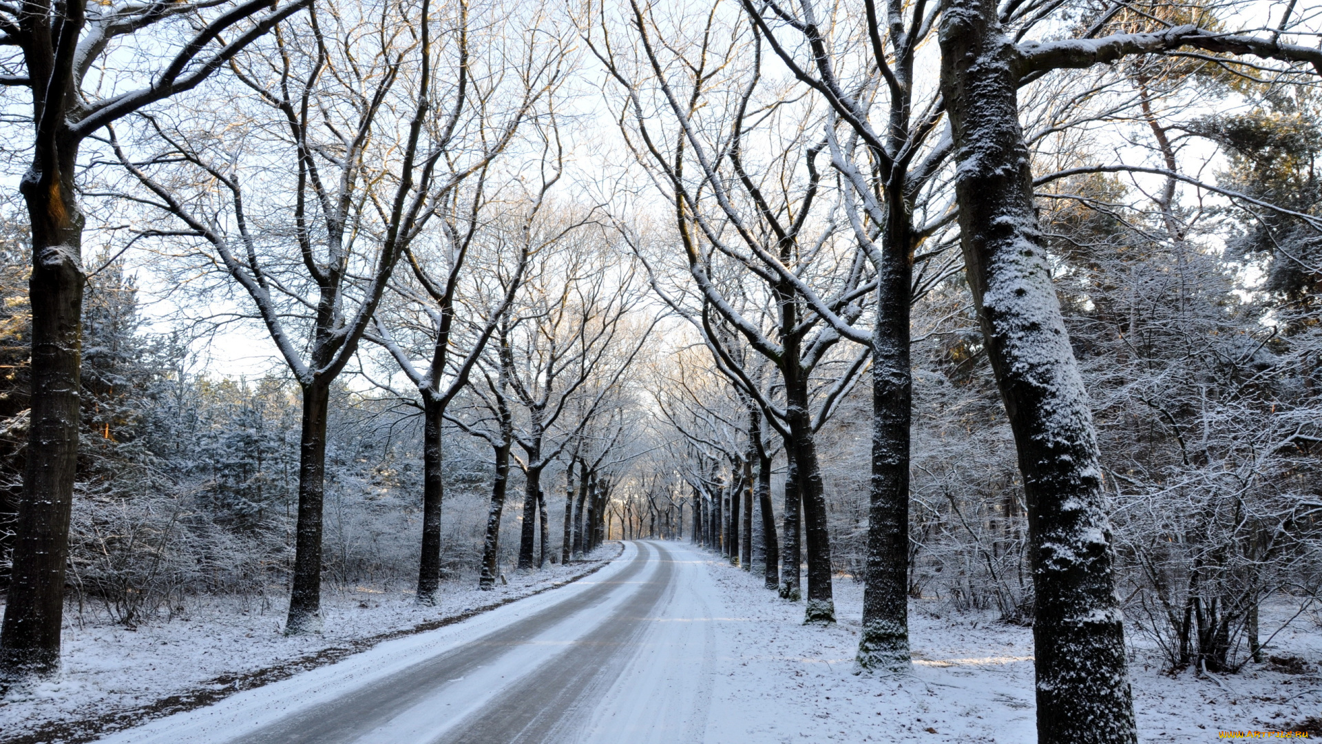 природа, дороги, пейзаж, дорога, зима
