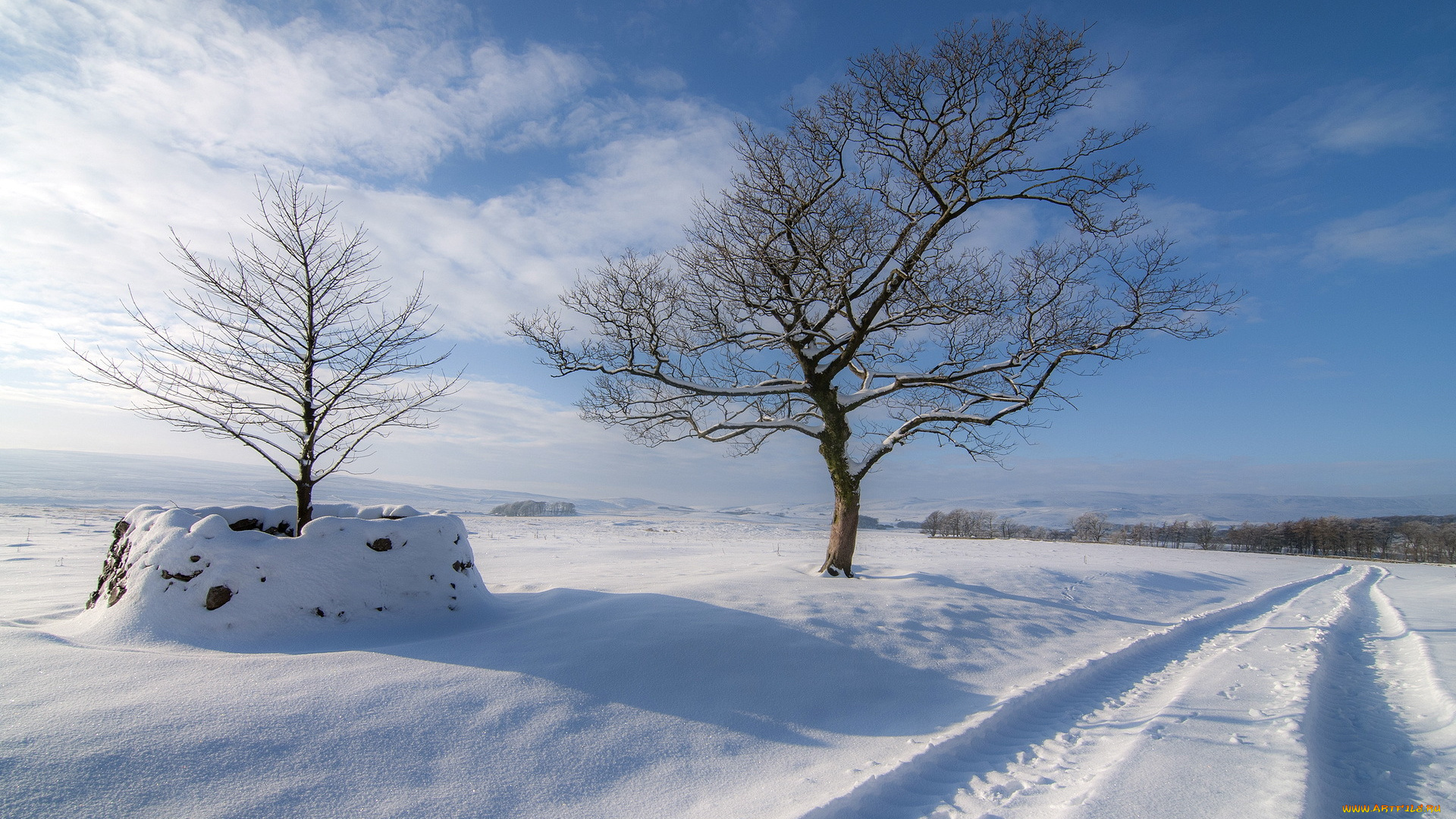 природа, зима, поле, деревья