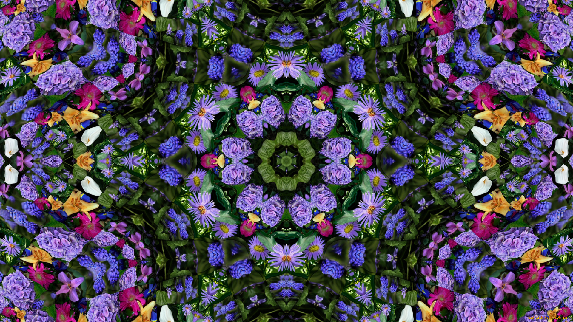 разное, компьютерный, дизайн, цветы, цвета