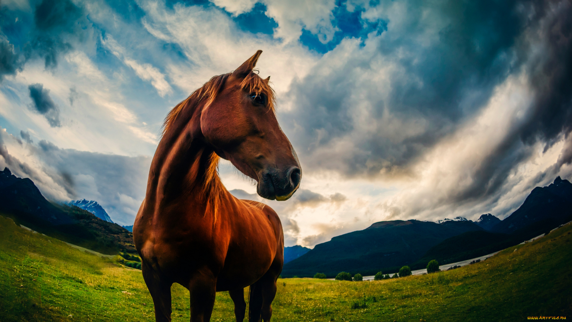 животные, лошади, облака, горы, луг, природа