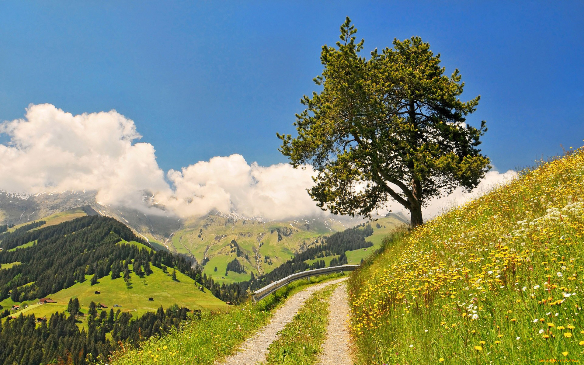 природа, дороги, горы, облака, дорога, дерево, цветы