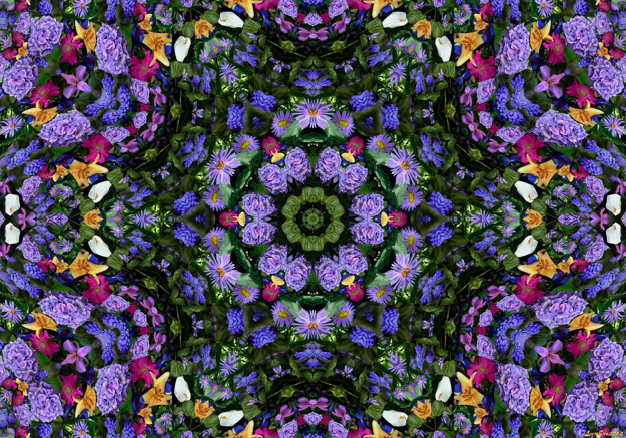 разное, компьютерный, дизайн, цветы, цвета