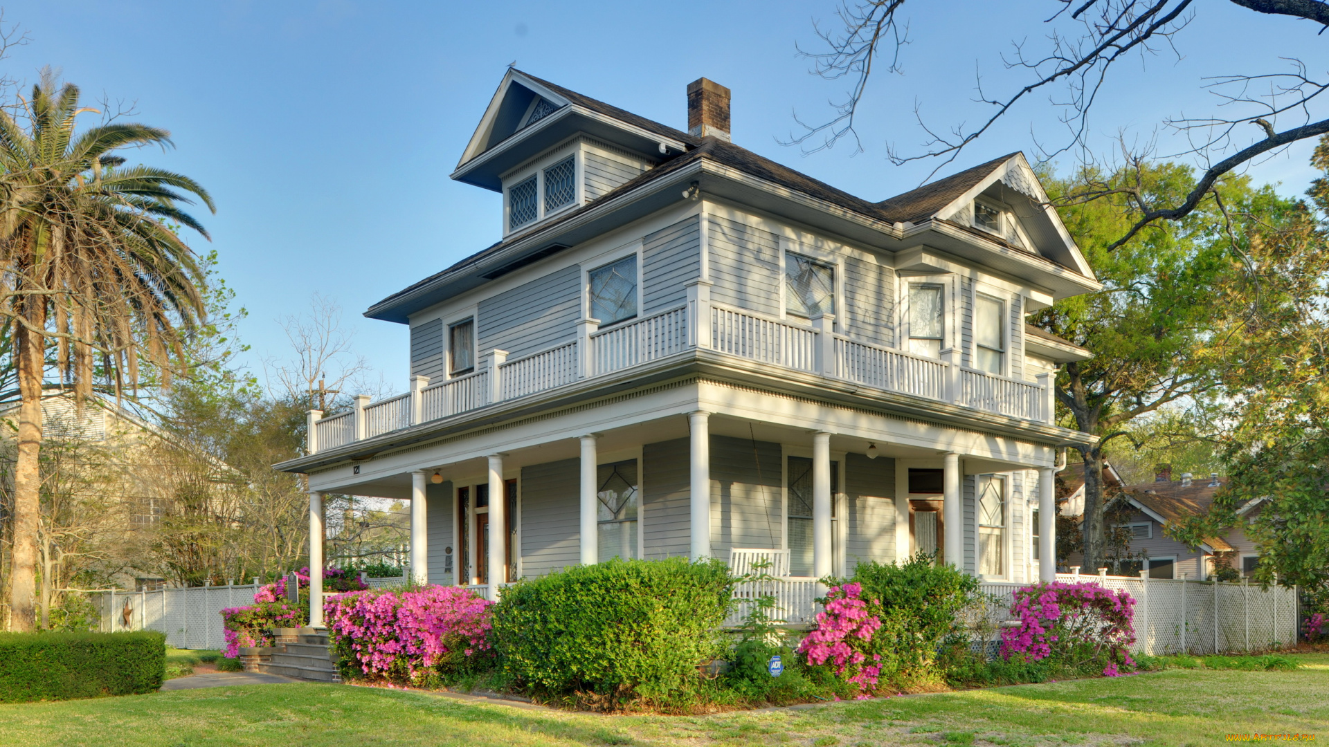 города, -, здания, , дома, техас, деревья, трава, кусты, цветы, дома, сша