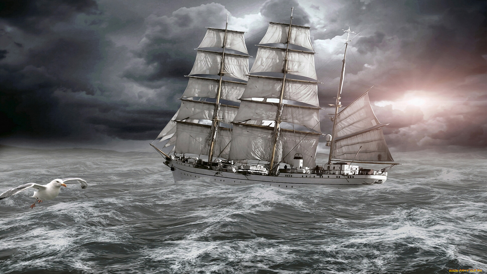 корабли, парусники, чайка, шторм, море, парусник