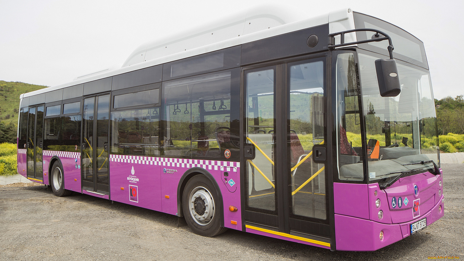 автомобили, автобусы, avenue, temsa, 2014г, lf