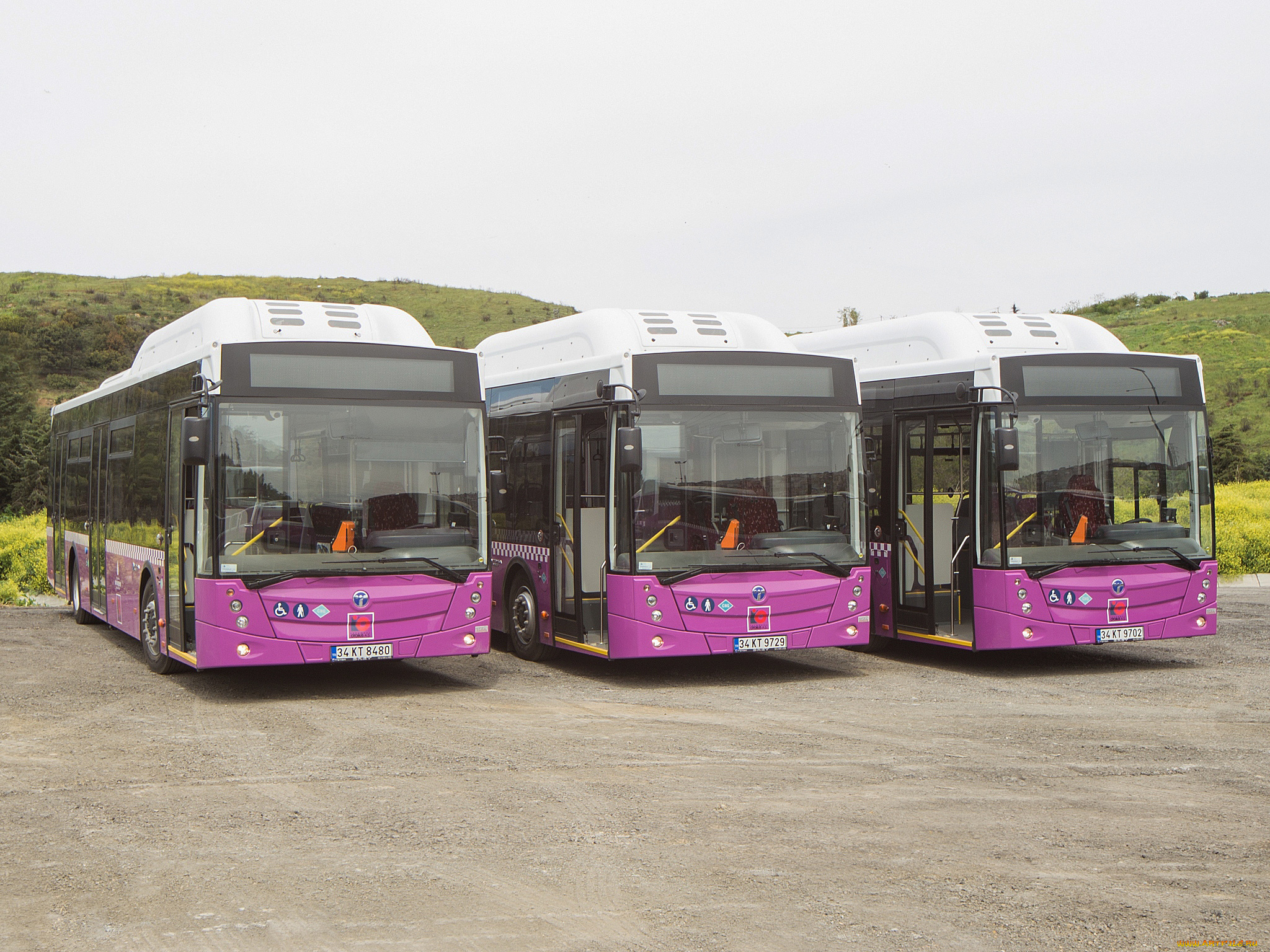 автомобили, автобусы, 2014г, lf, avenue, temsa