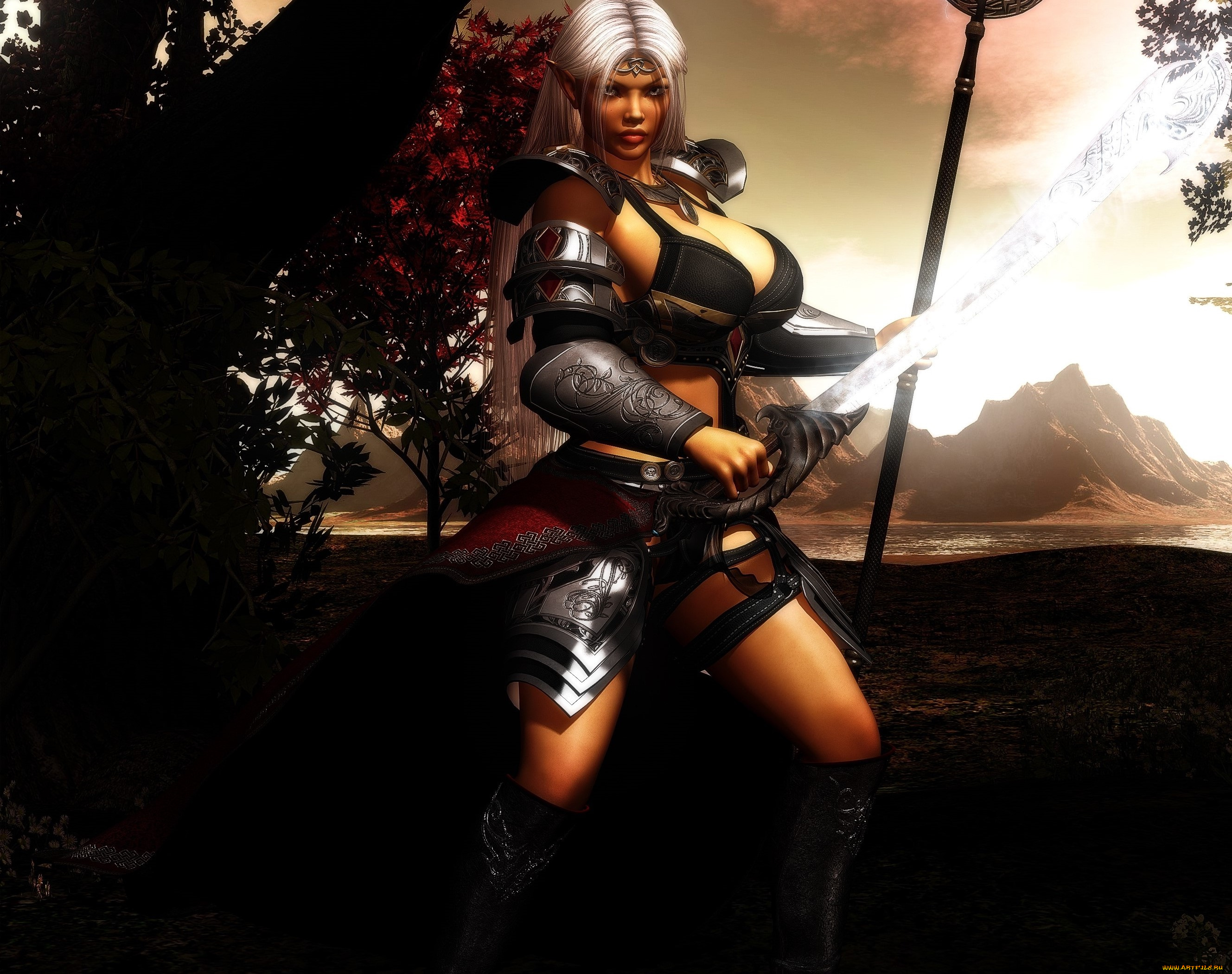 3д, графика, эльфы, , elves, оружие, фон, взгляд, шест, эльфийка