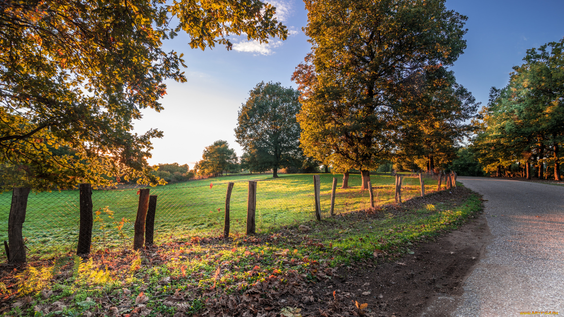 природа, дороги, шоссе