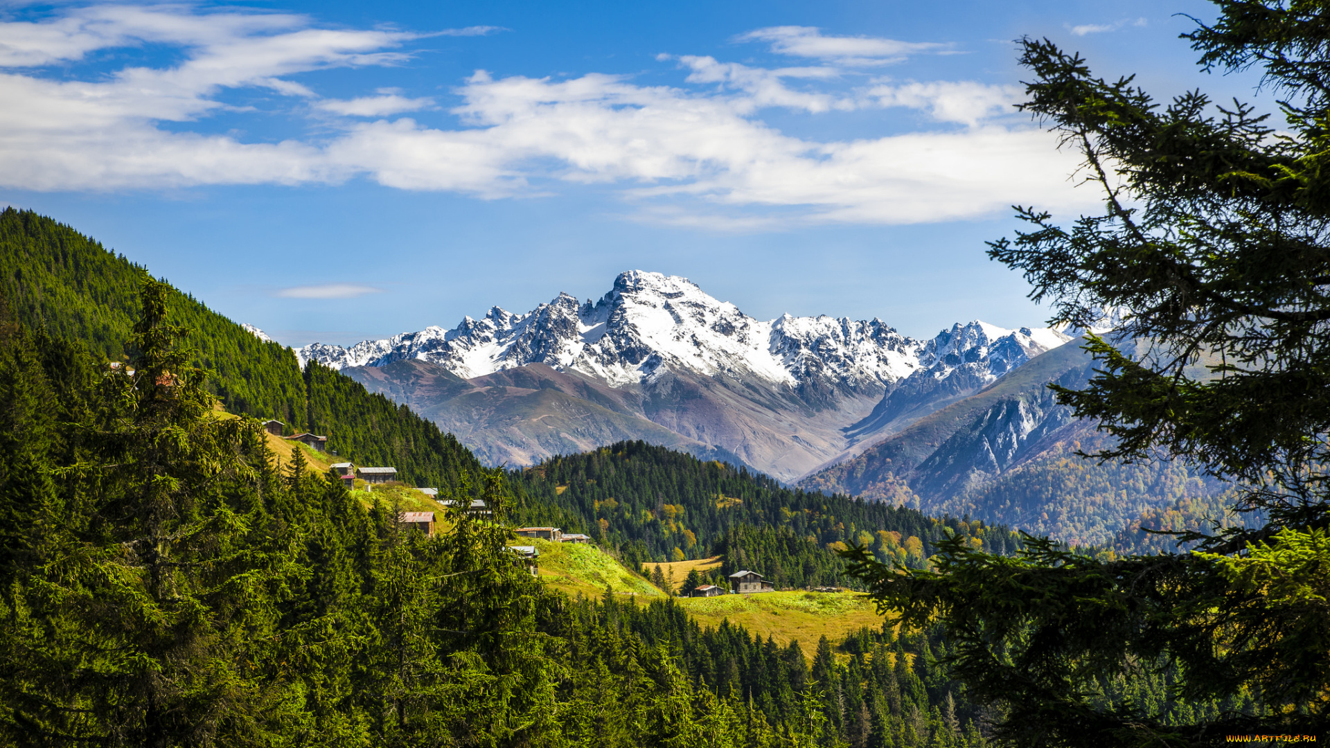 природа, горы, лес, вершины