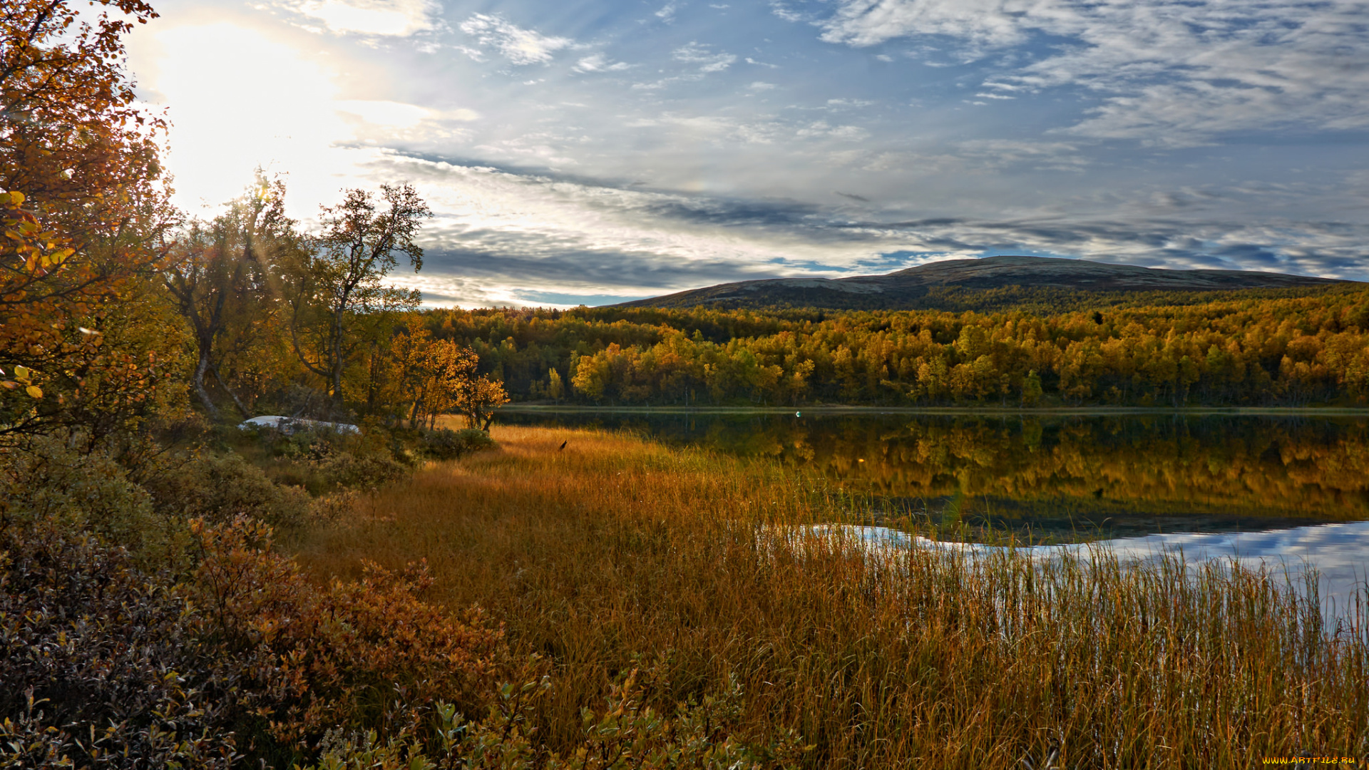 природа, реки, озера, река, лес