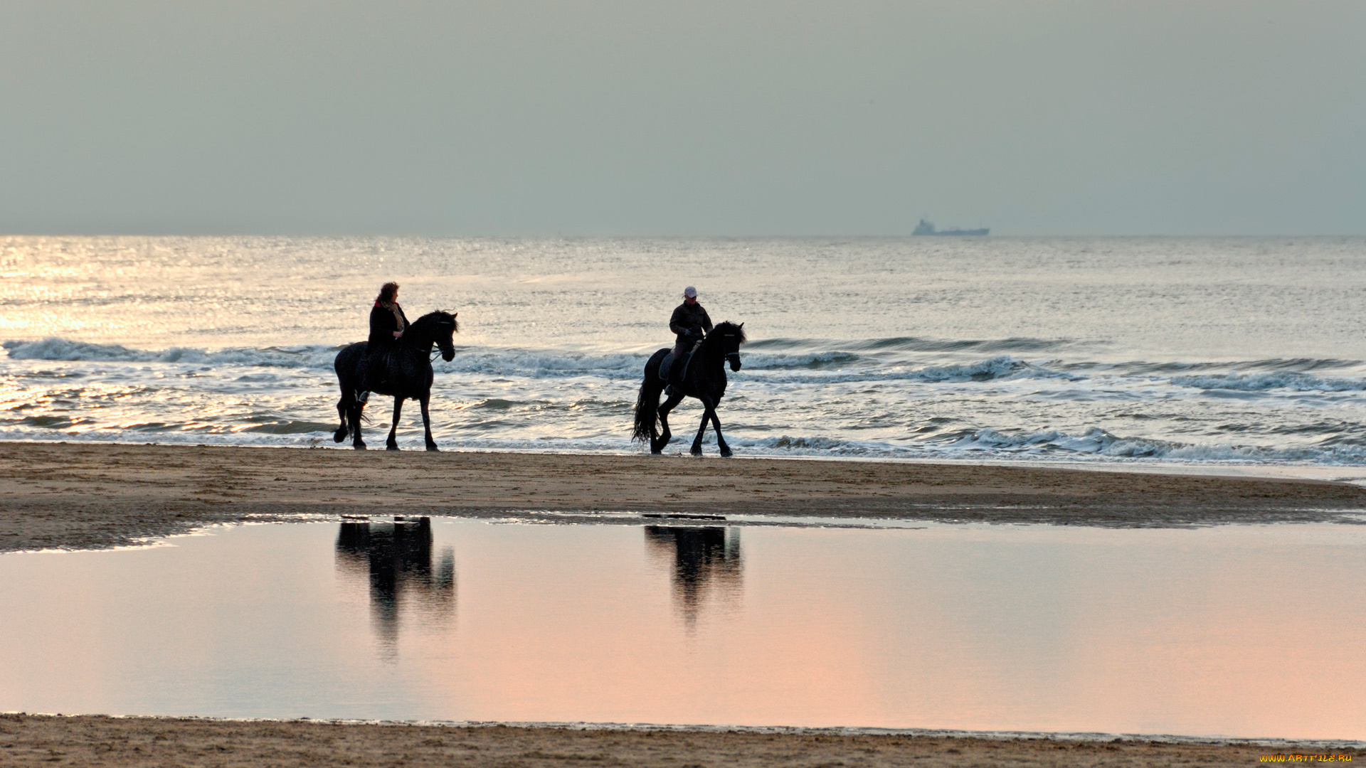 животные, лошади, пара, всадники, прогулка, море, берег