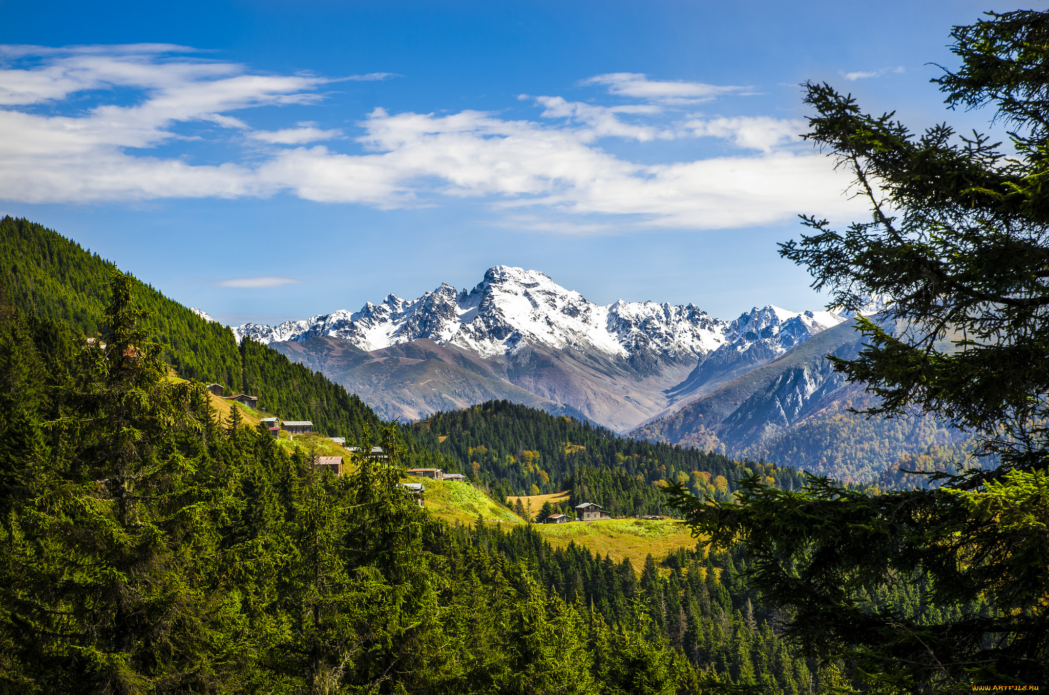 природа, горы, лес, вершины