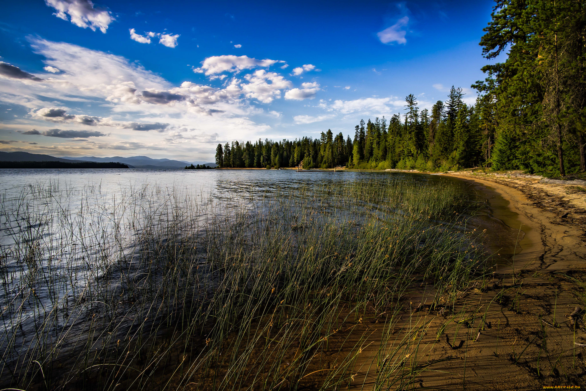 природа, реки, озера, река, лес