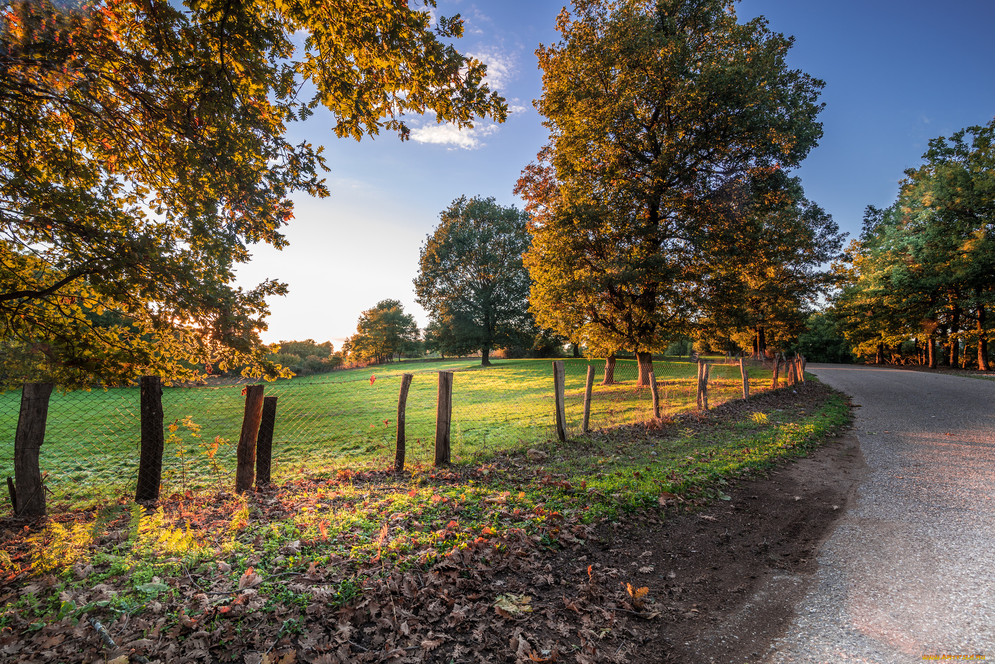 природа, дороги, шоссе