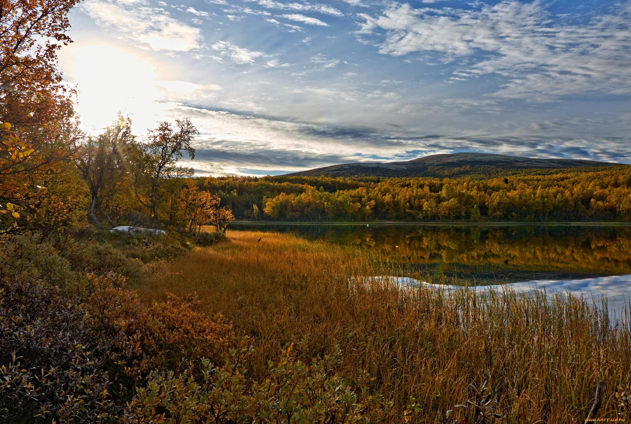 природа, реки, озера, река, лес