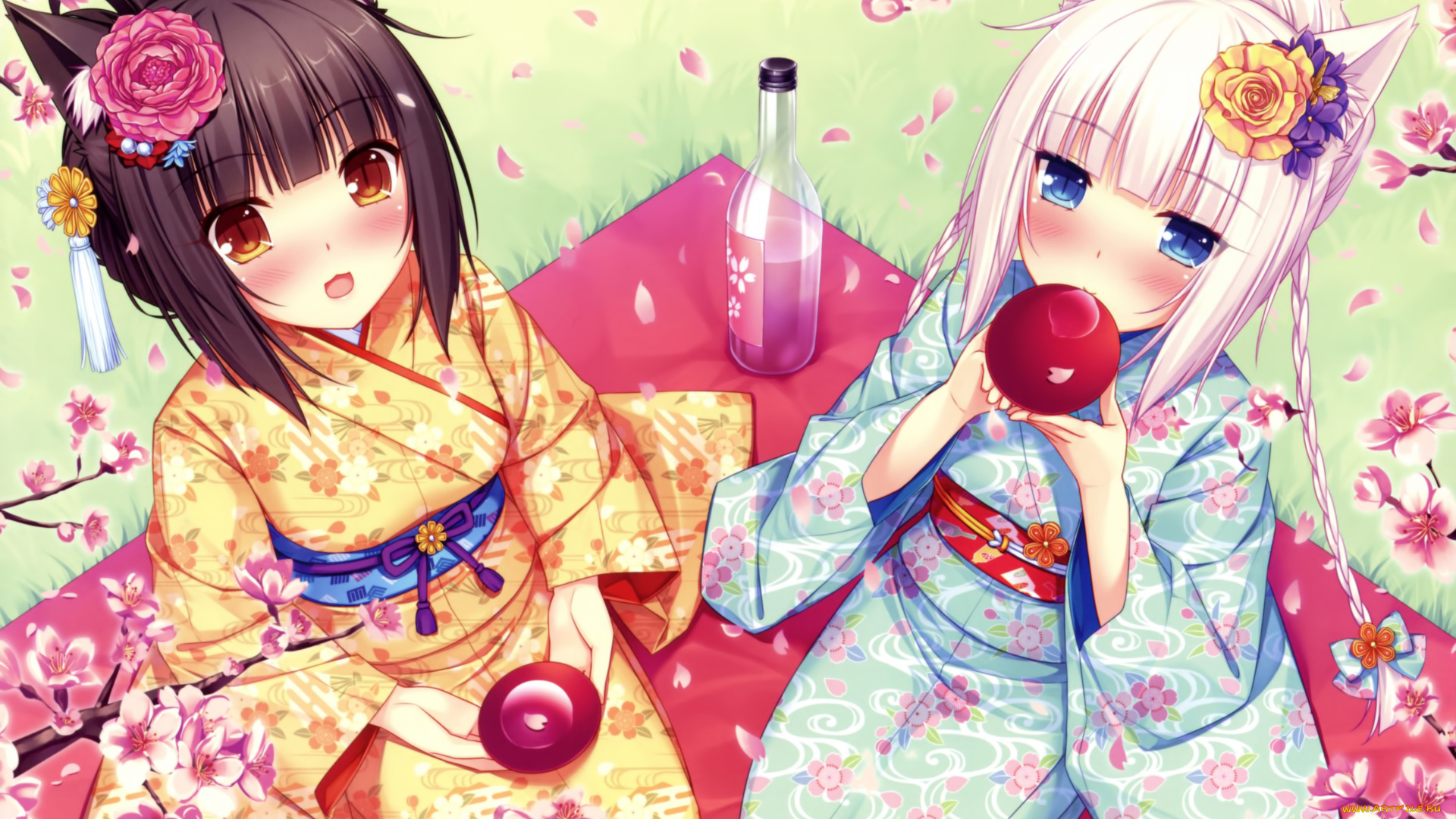 аниме, nekopara, фон, взгляд, девушки