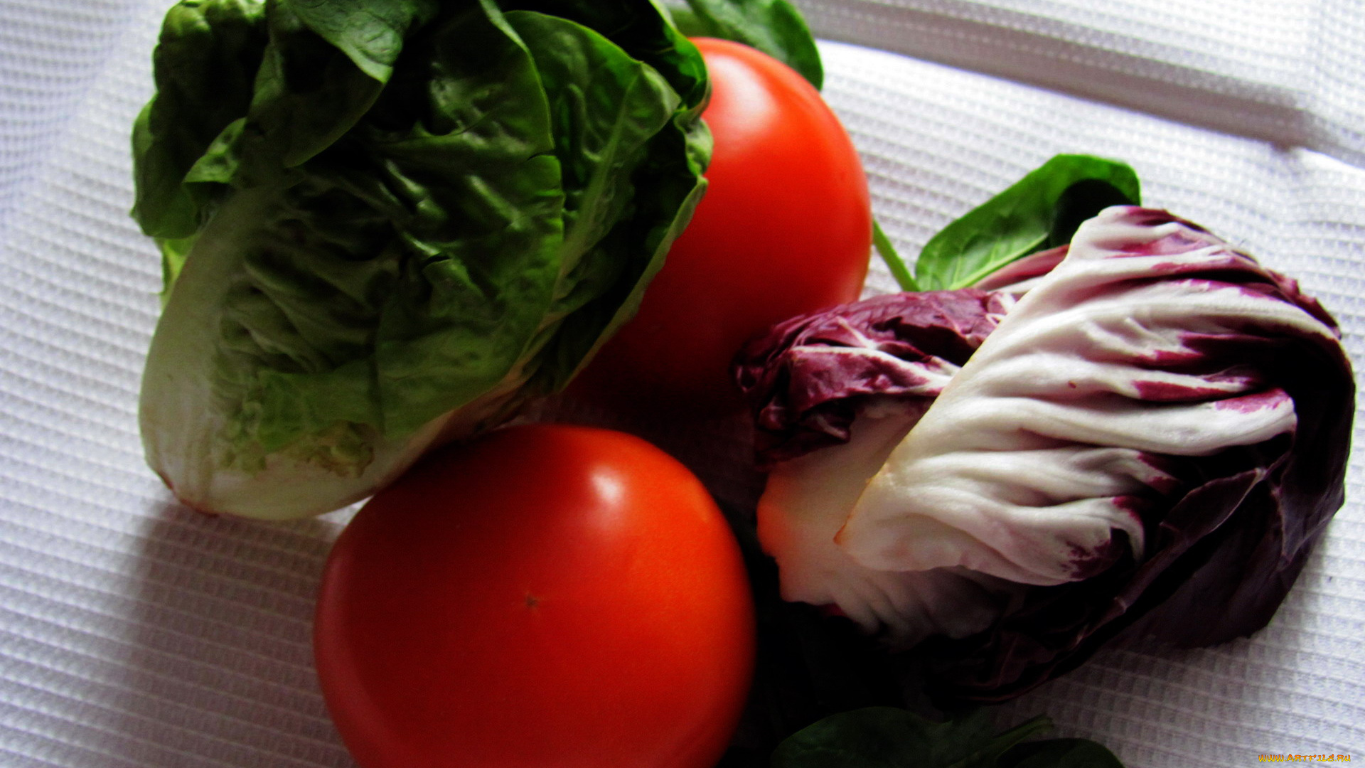 еда, овощи, салат, помидоры, томаты