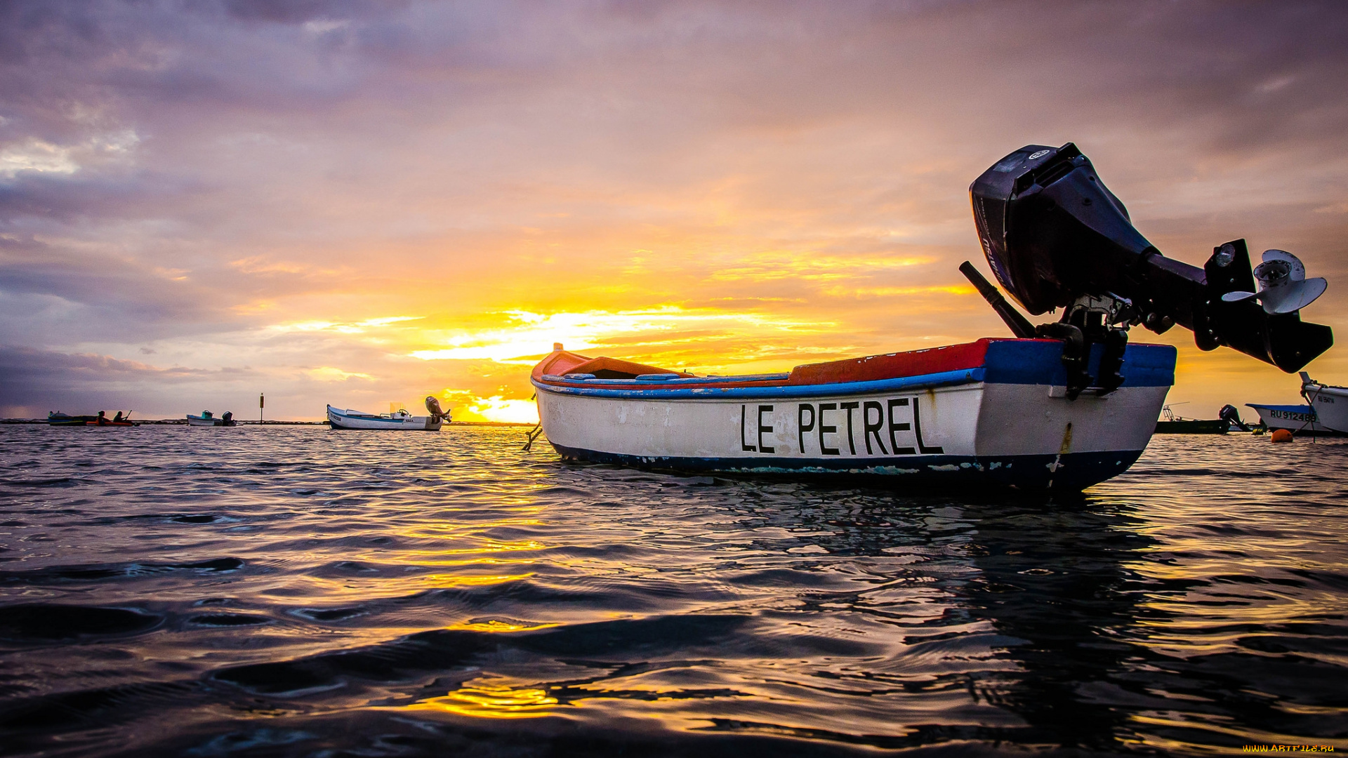 корабли, моторные, лодки, река, лес