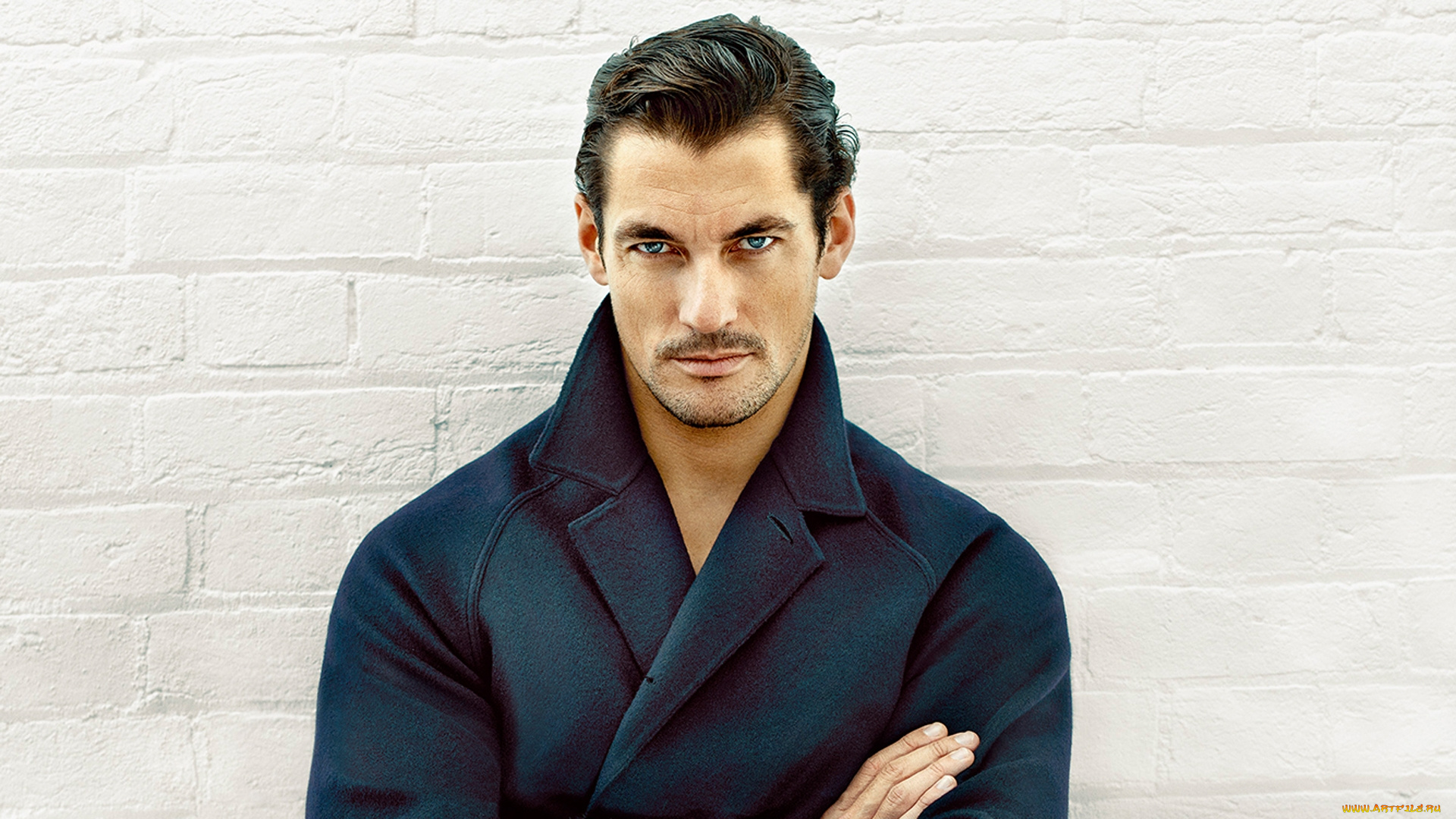 мужчины, david, gandy, взгляд