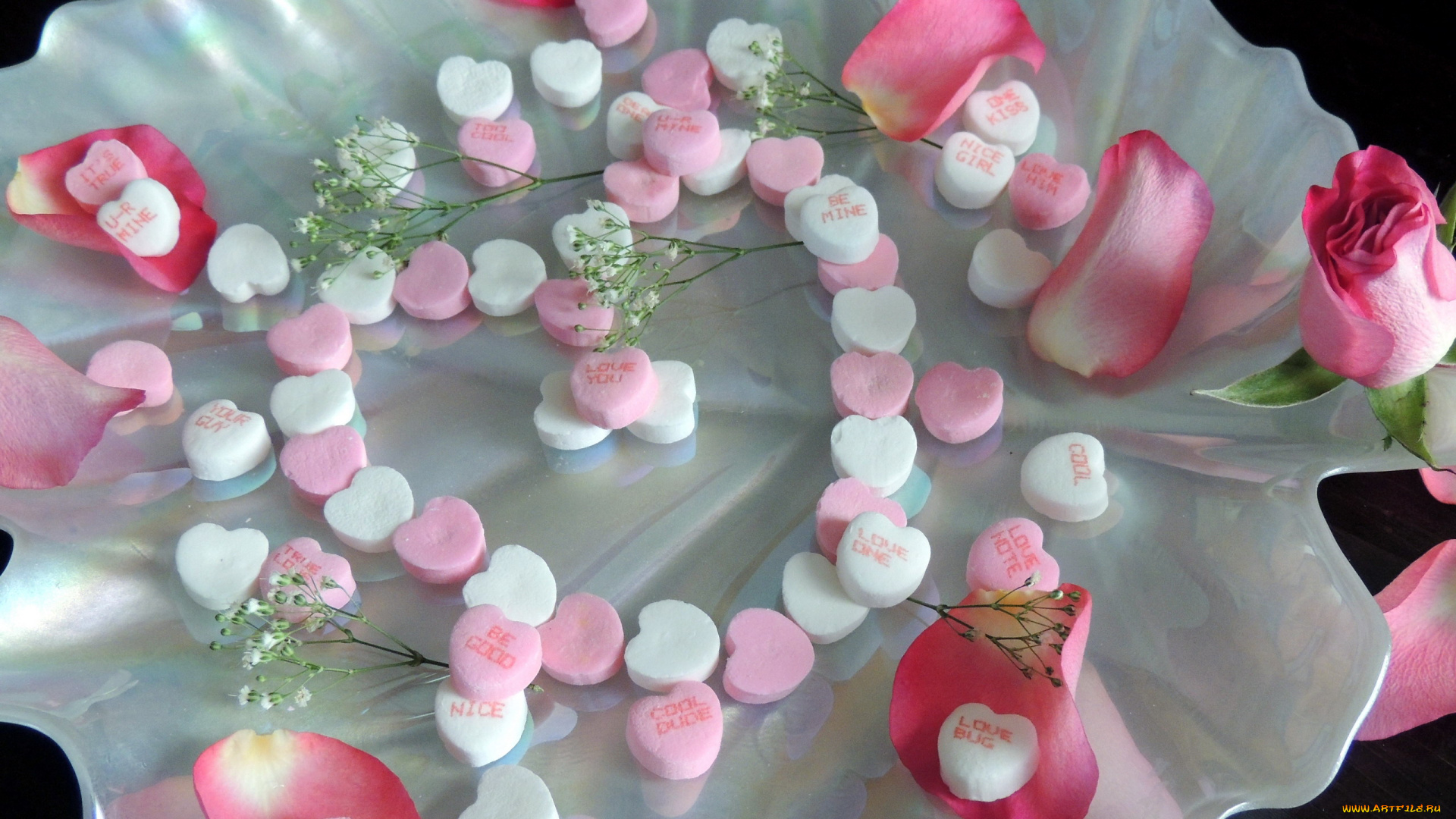 праздничные, день, святого, валентина, , сердечки, , любовь, роза, лепестки, сердечки