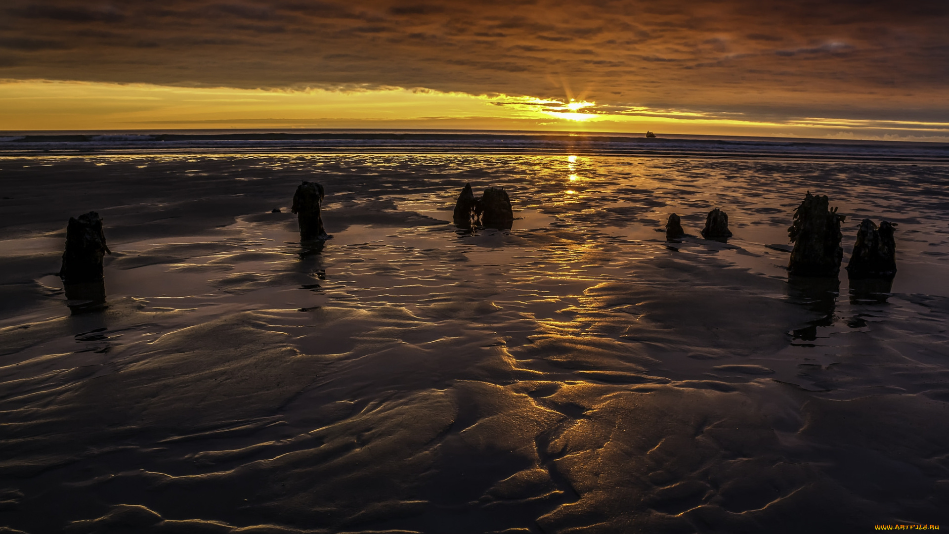 природа, побережье, рассвет