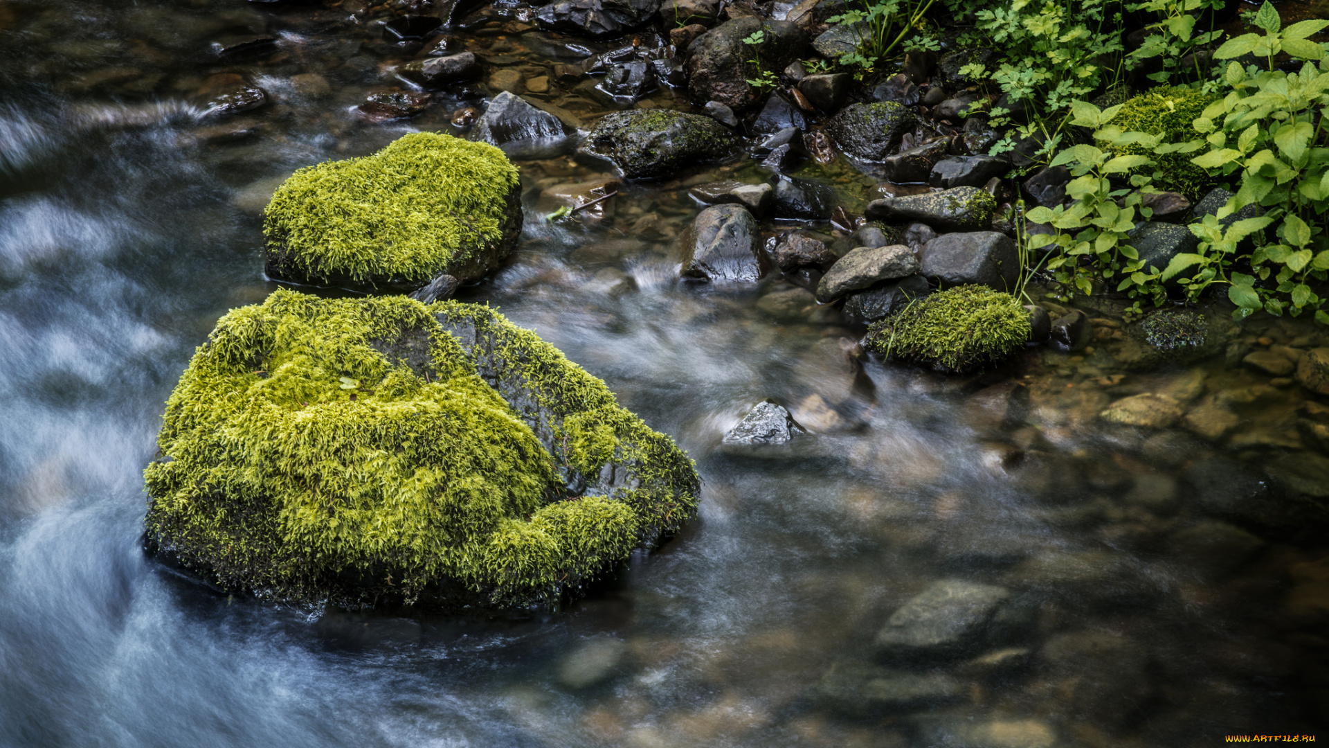 природа, реки, озера, мох, камни