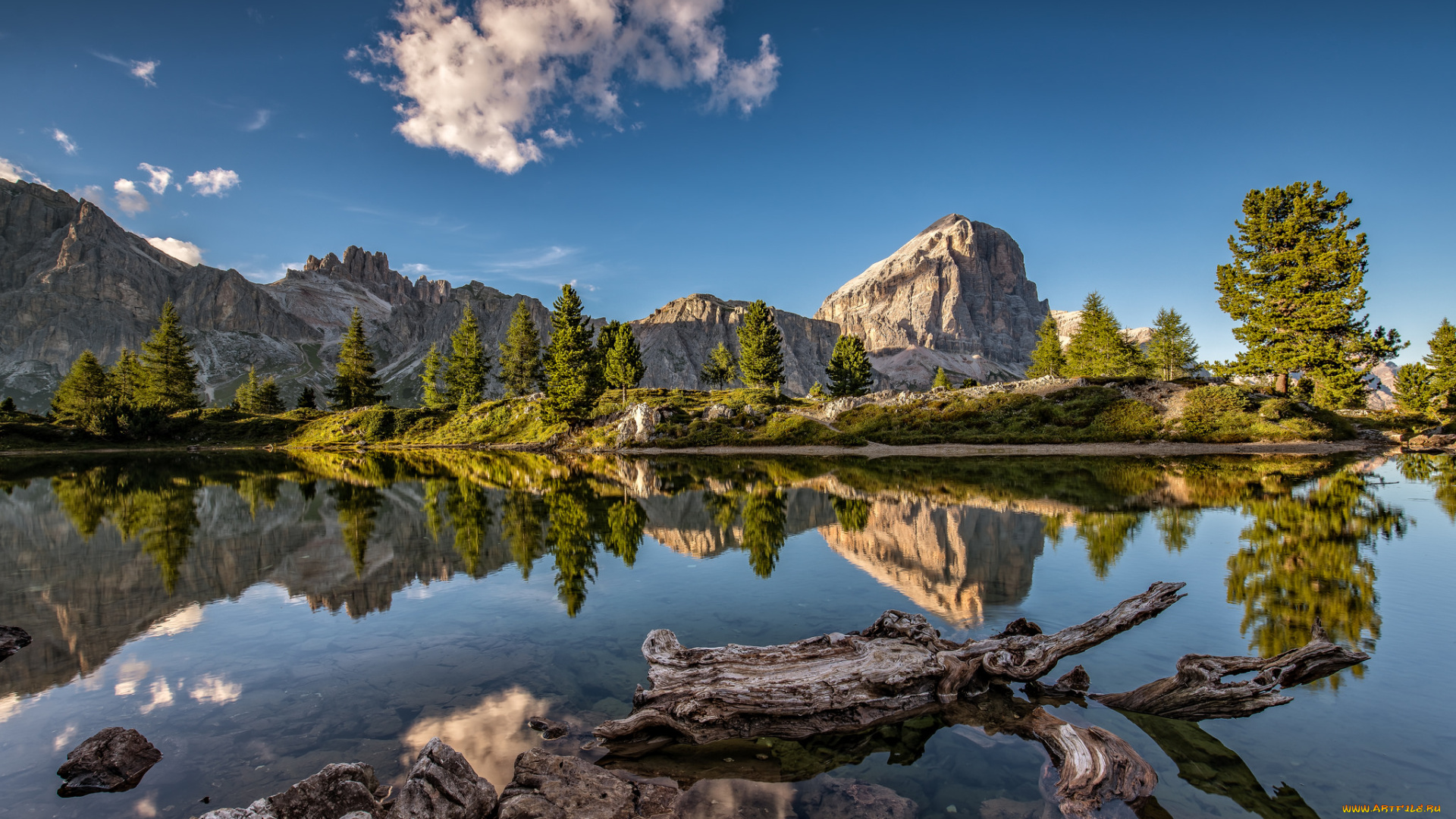 природа, реки, озера, река, лес