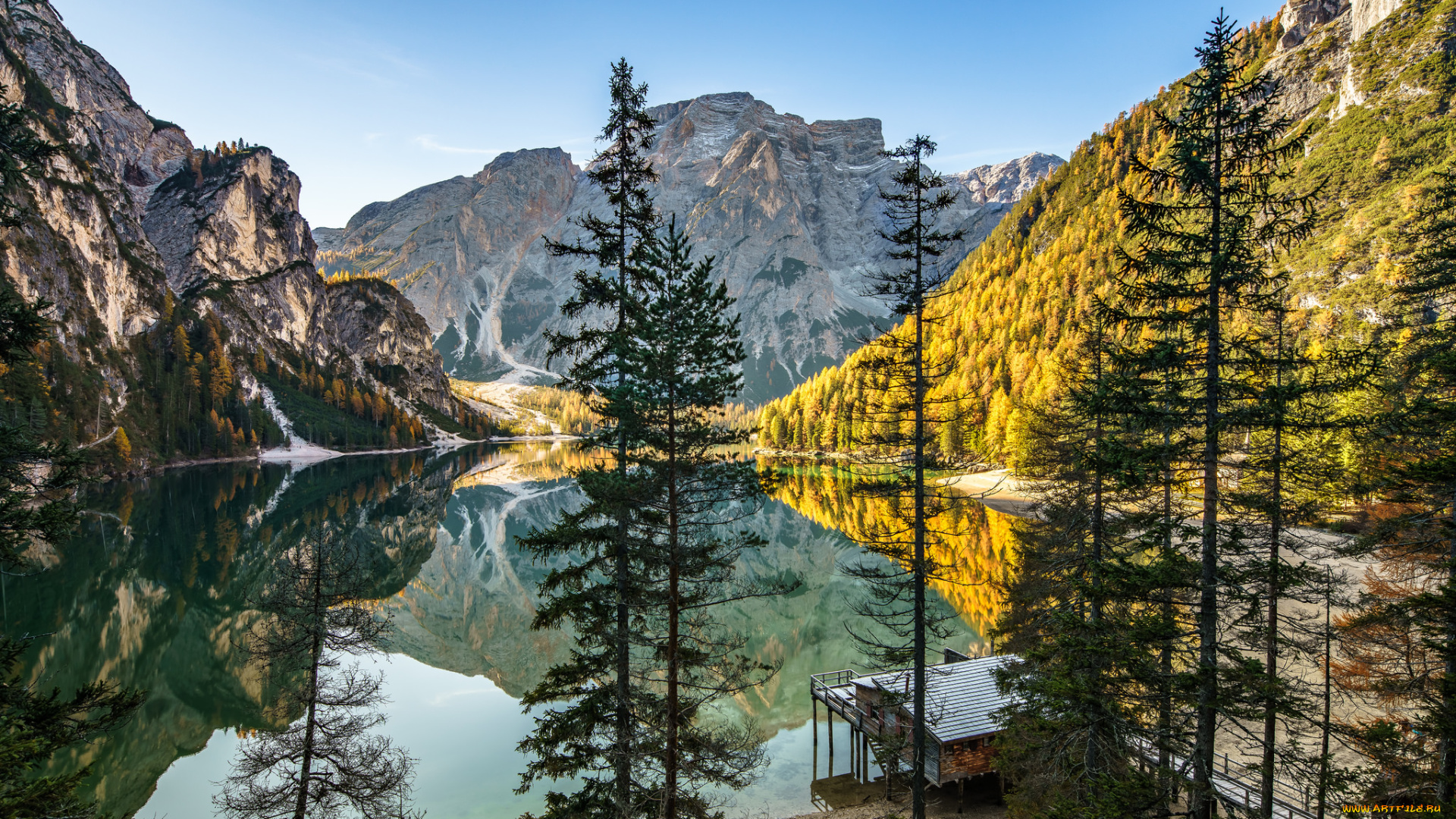 природа, реки, озера, река, лес