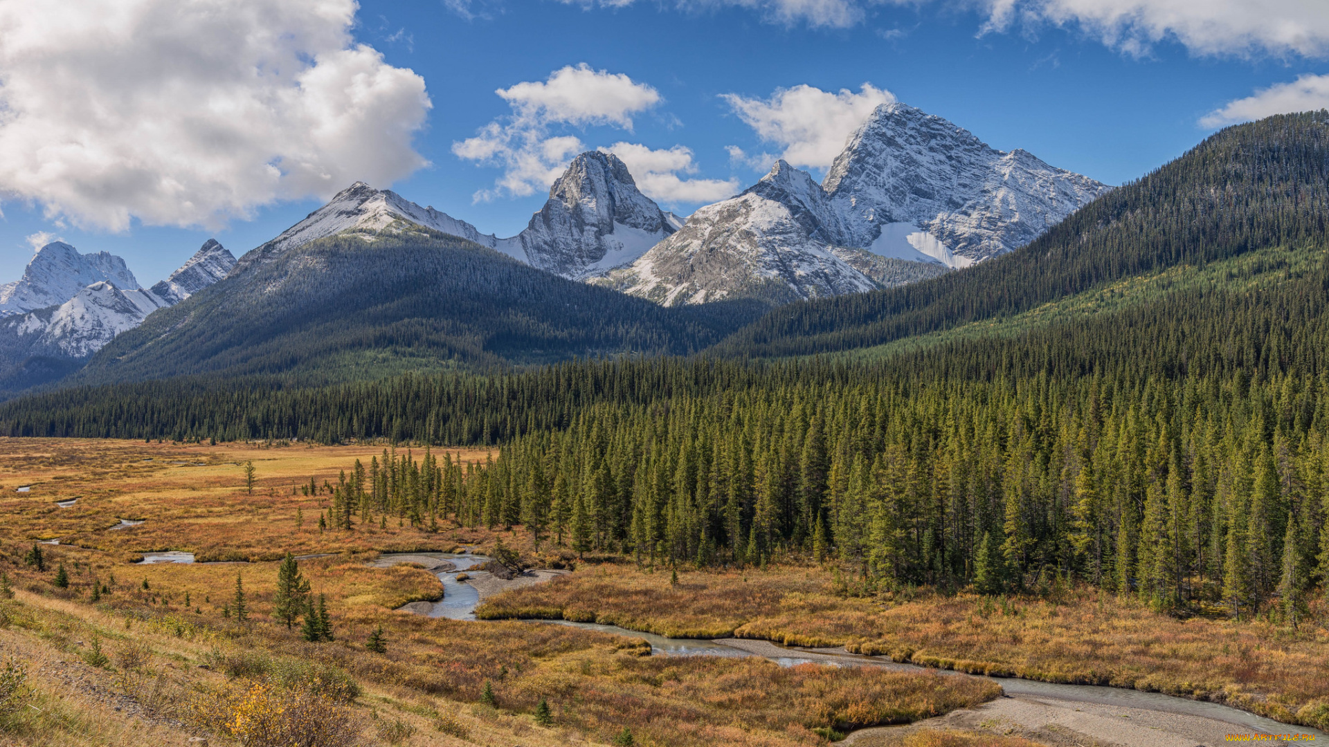 природа, реки, озера, река, лес