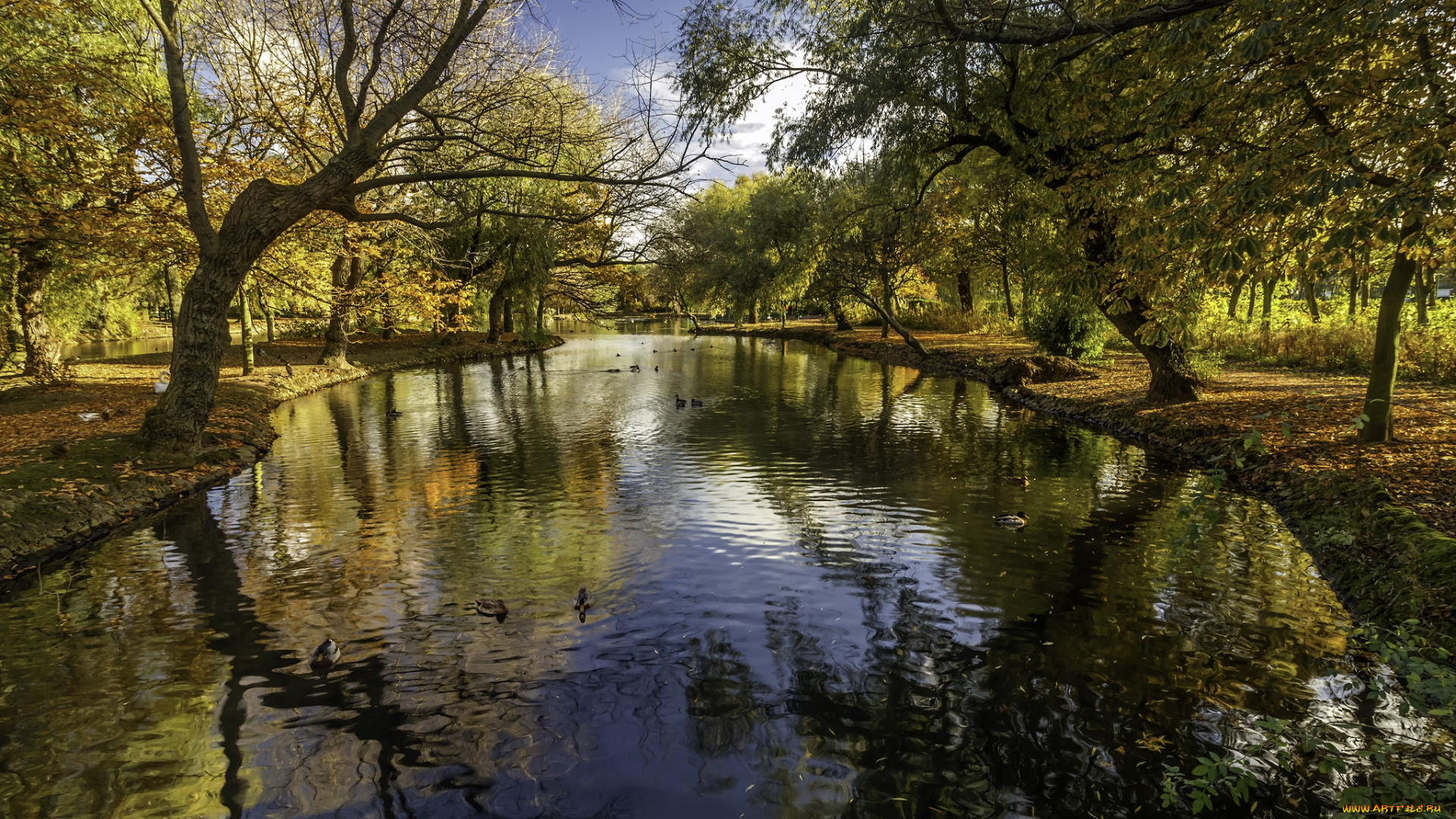 природа, реки, озера, река, лес