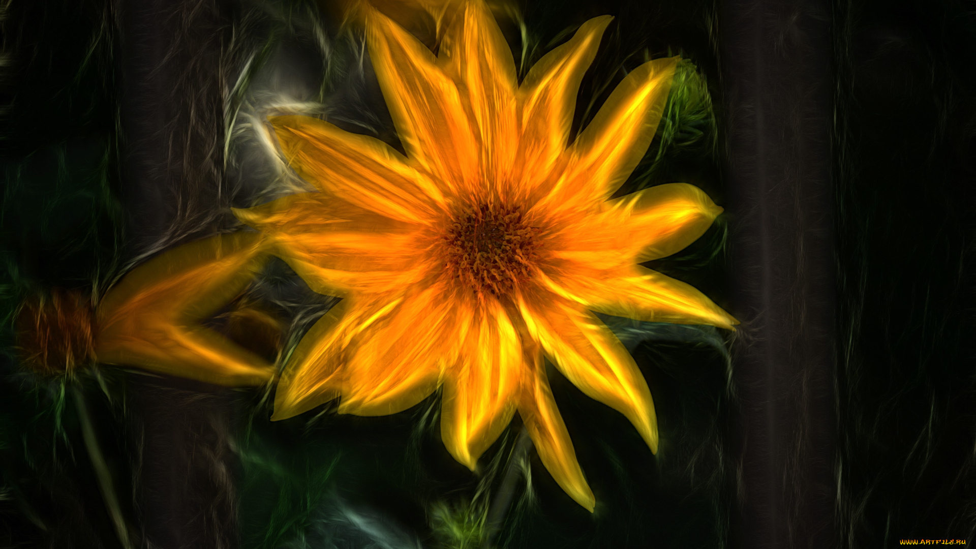 разное, компьютерный, дизайн, цветок