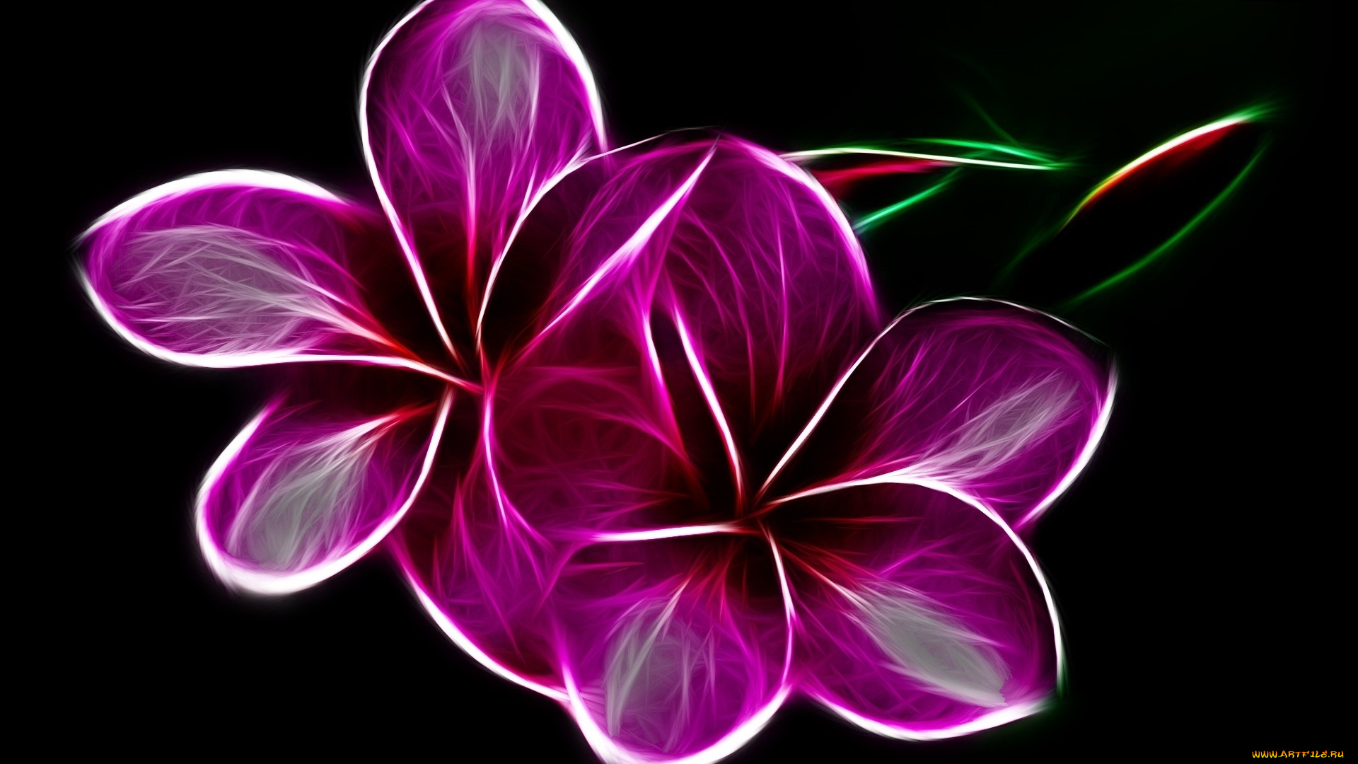 разное, компьютерный, дизайн, цветы, фон