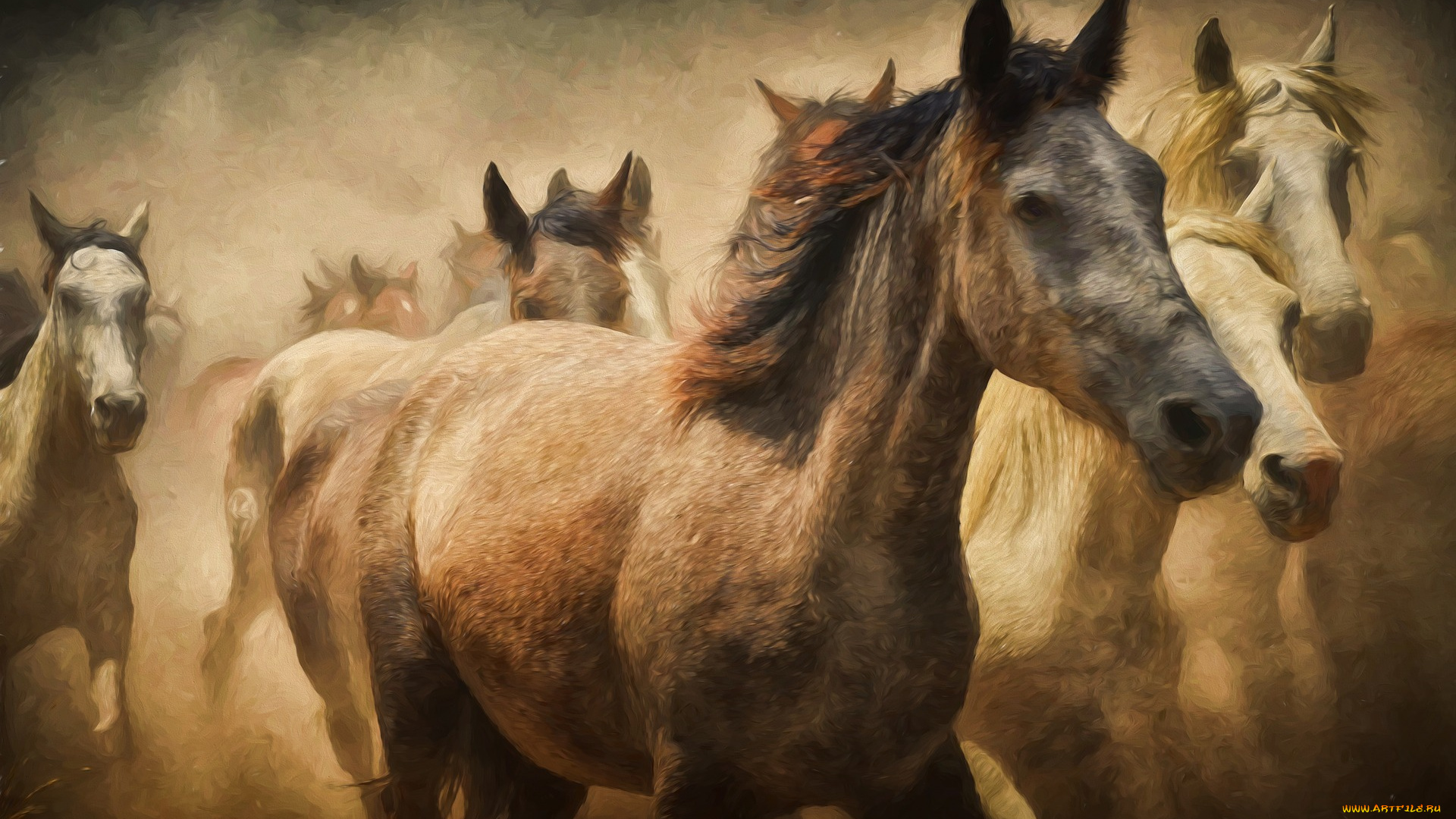 разное, компьютерный, дизайн, лошади