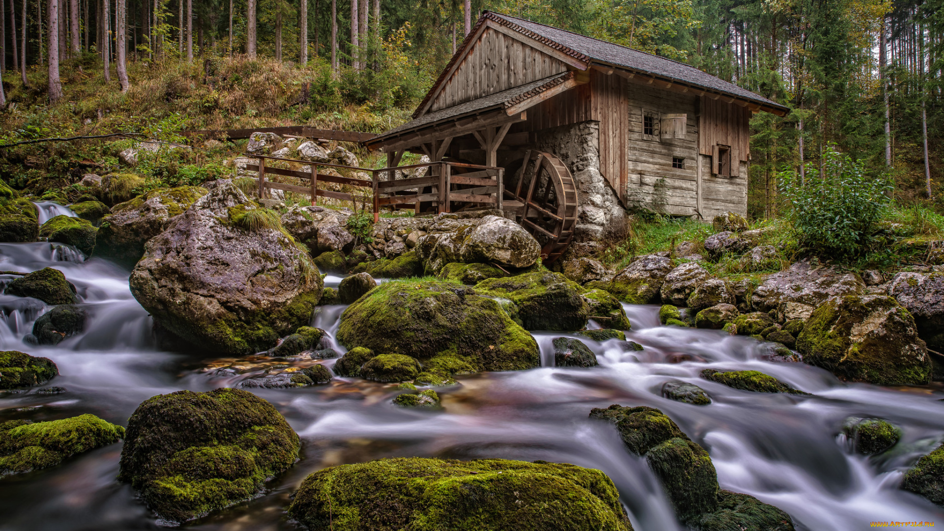 разное, мельницы, река, лес