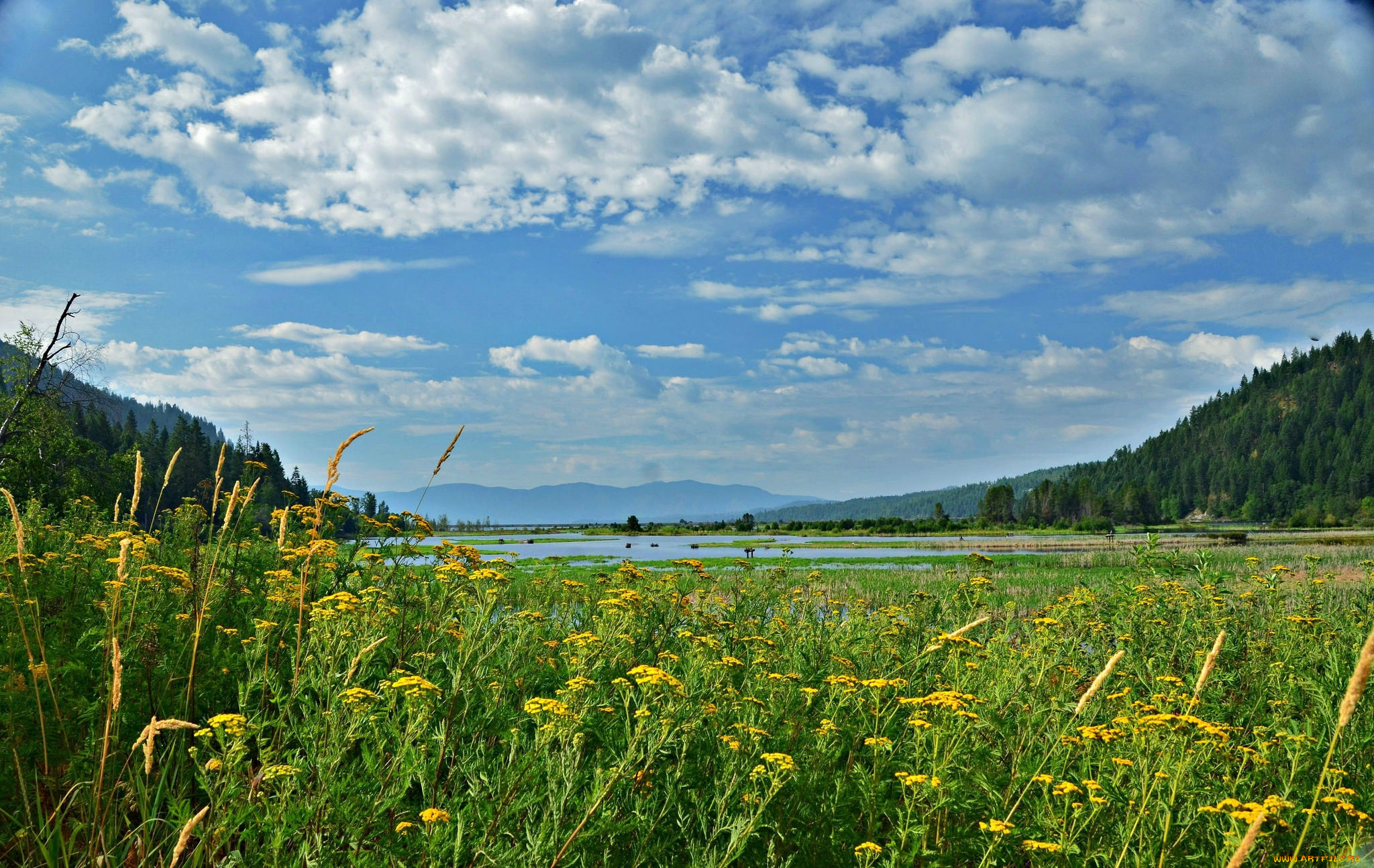 природа, пейзажи, простор