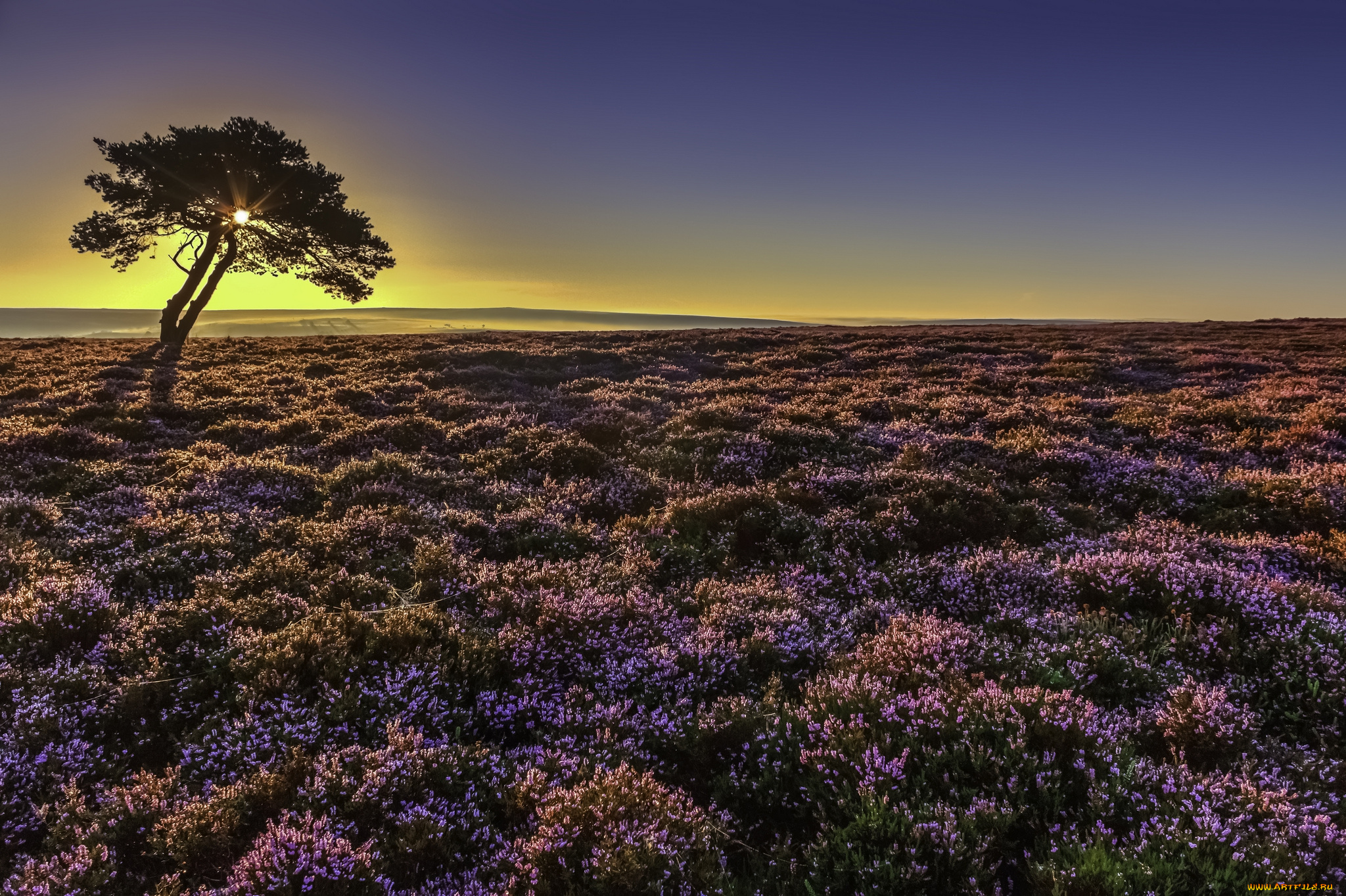 природа, пейзажи, рассвет