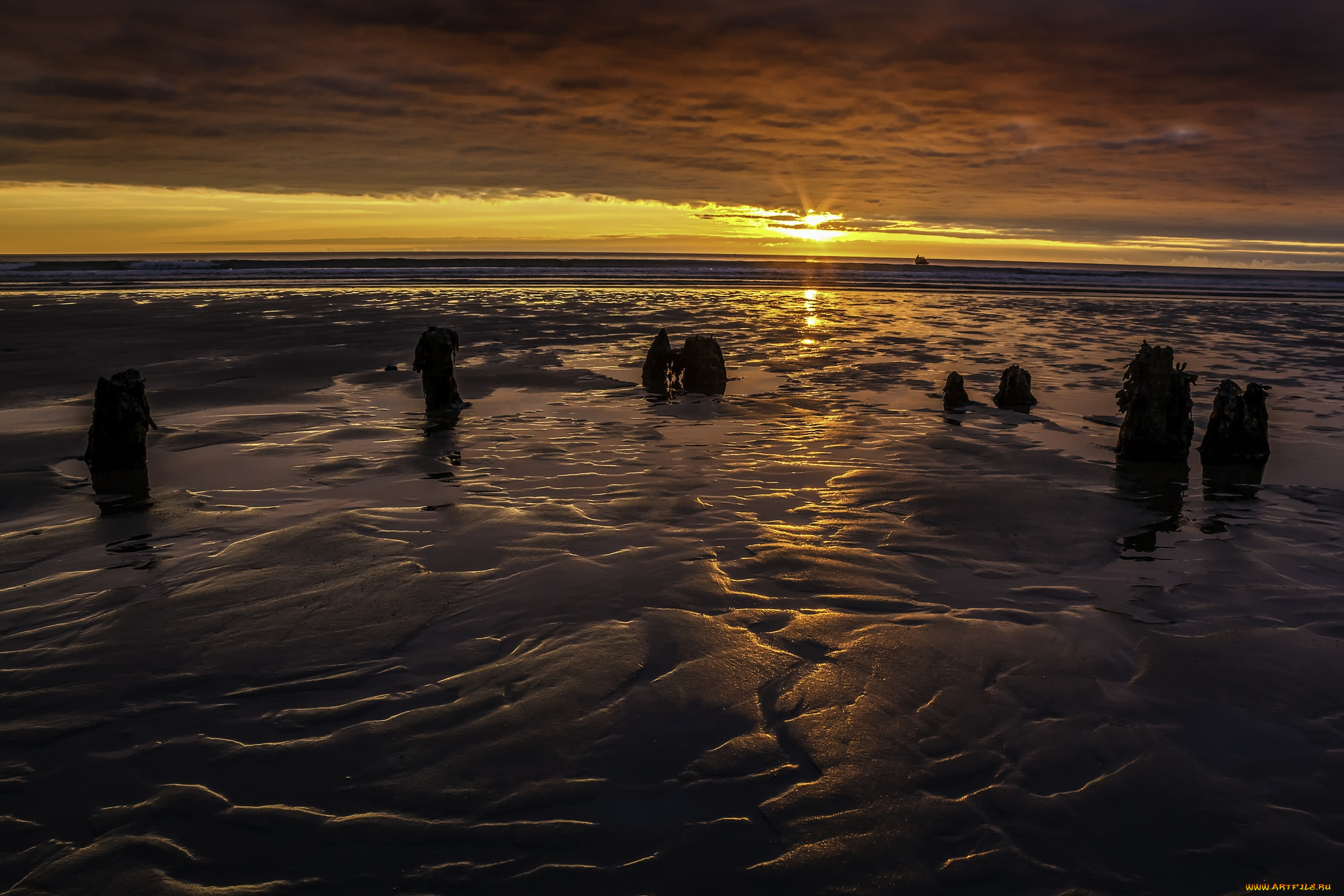 природа, побережье, рассвет