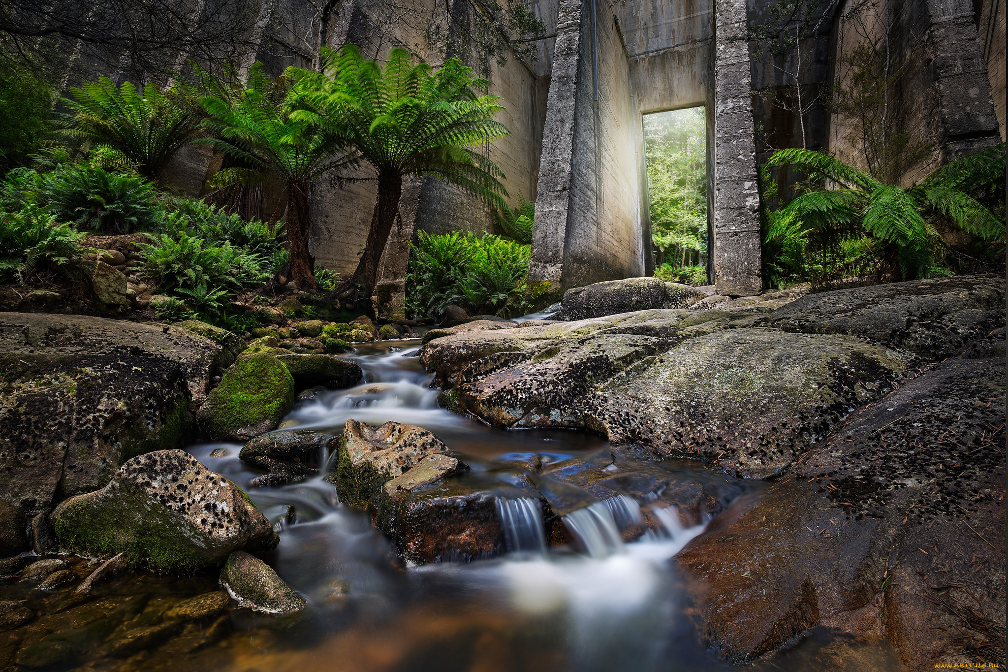 природа, реки, озера, река, лес