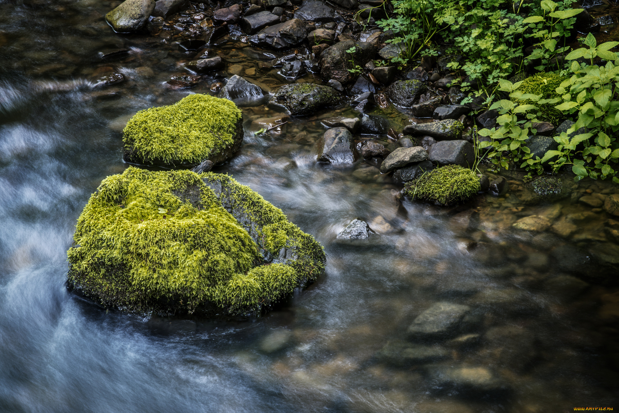 природа, реки, озера, мох, камни