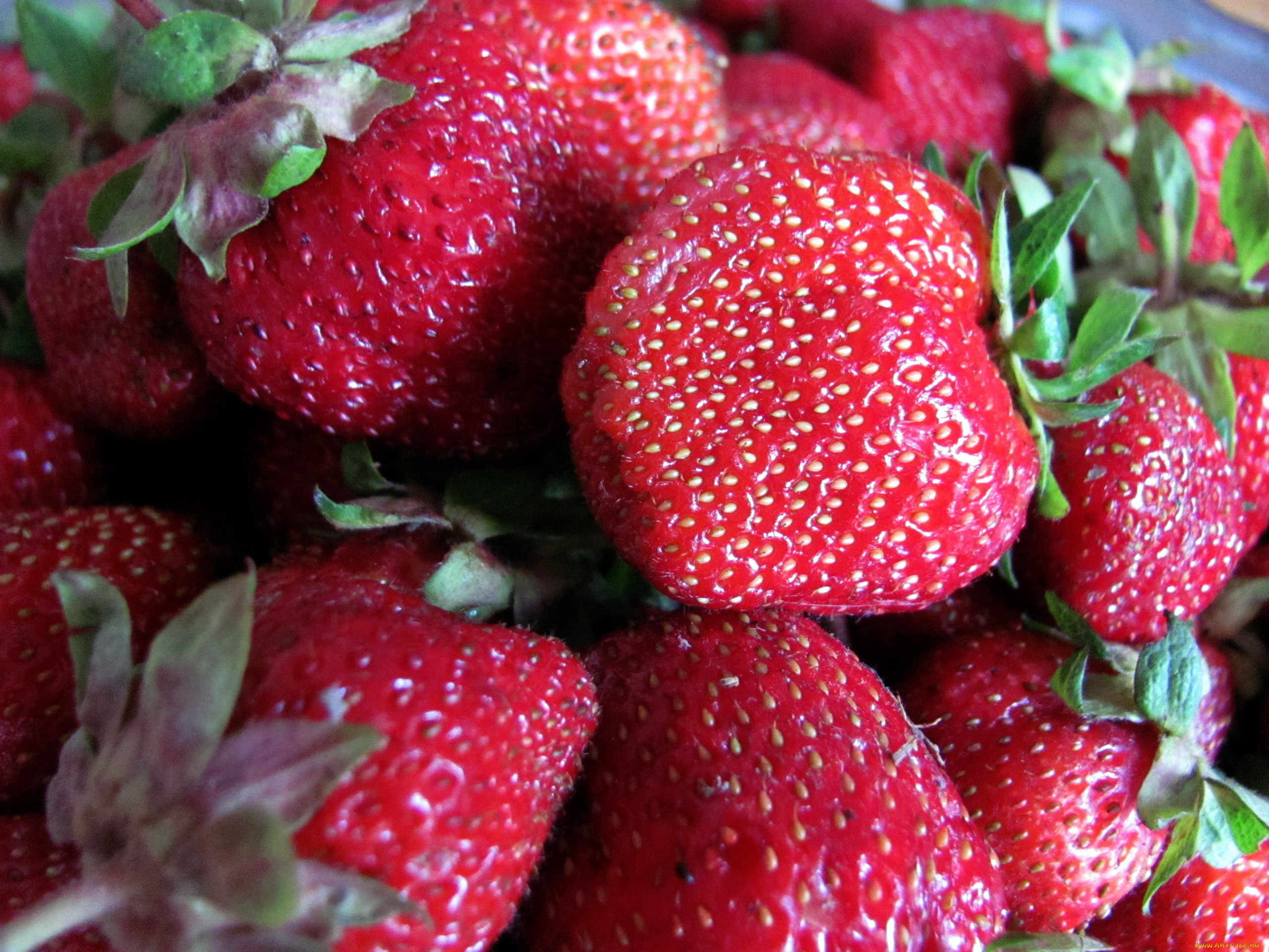 еда, клубника, , земляника, ягоды