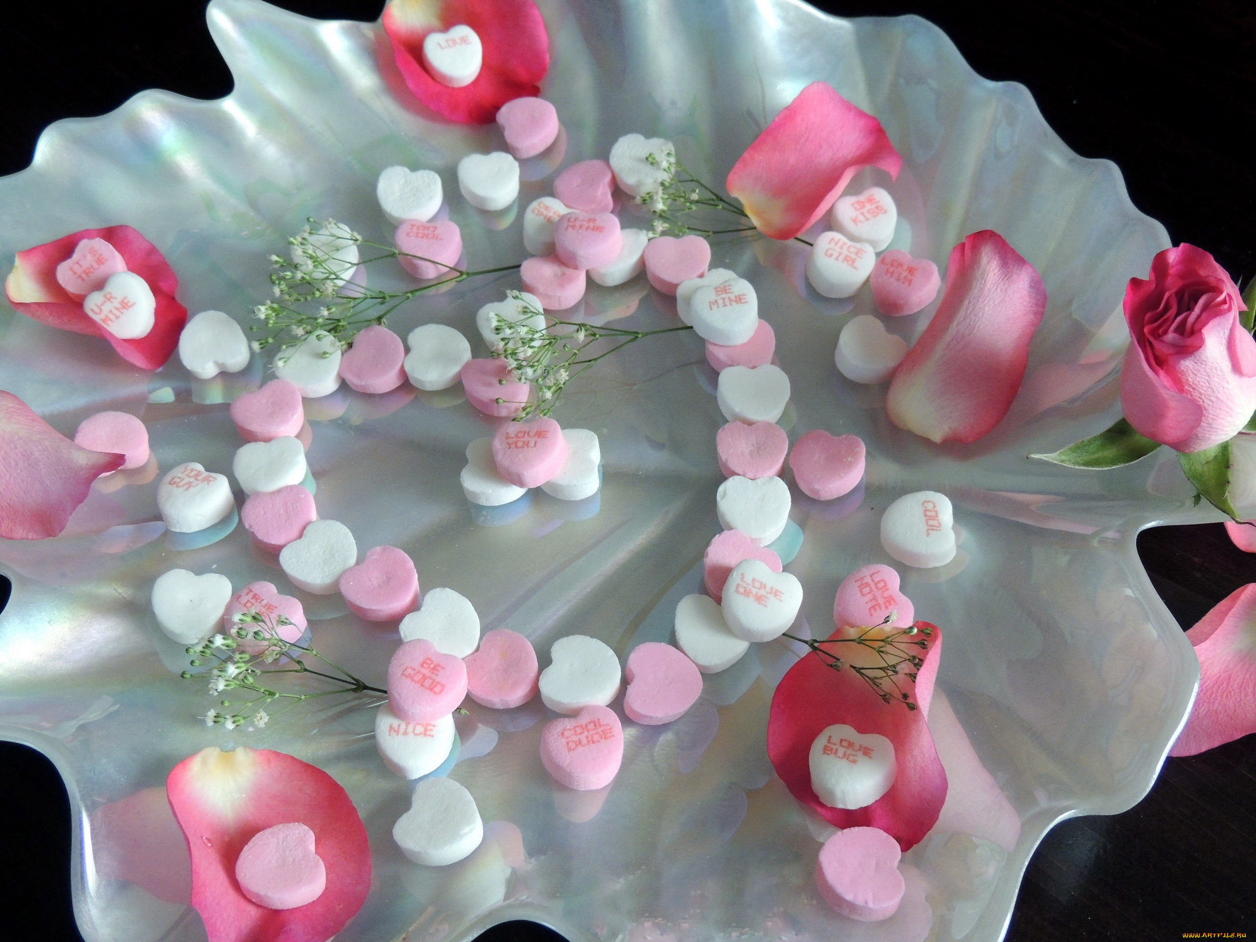 праздничные, день, святого, валентина, , сердечки, , любовь, роза, лепестки, сердечки