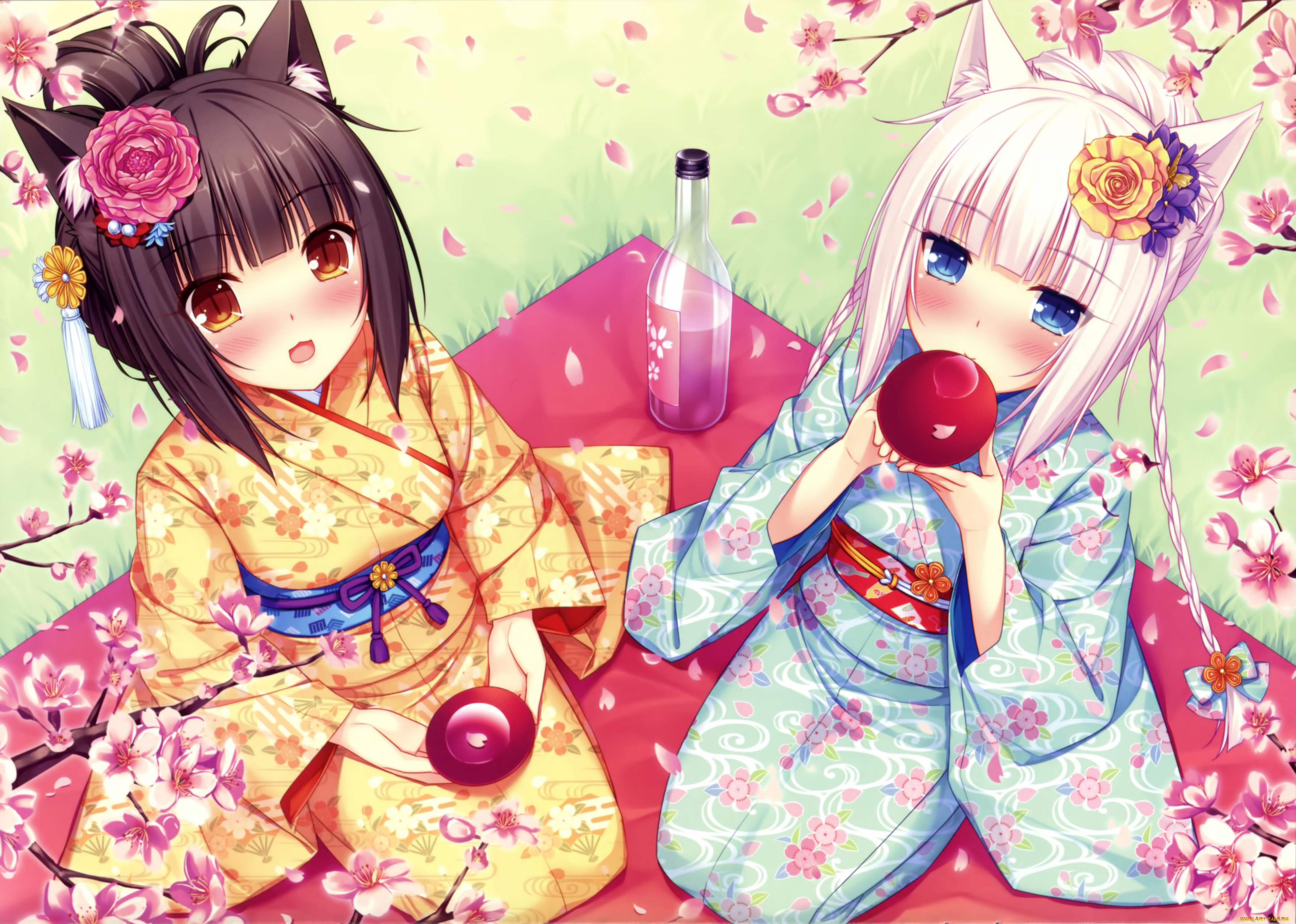 аниме, nekopara, фон, взгляд, девушки