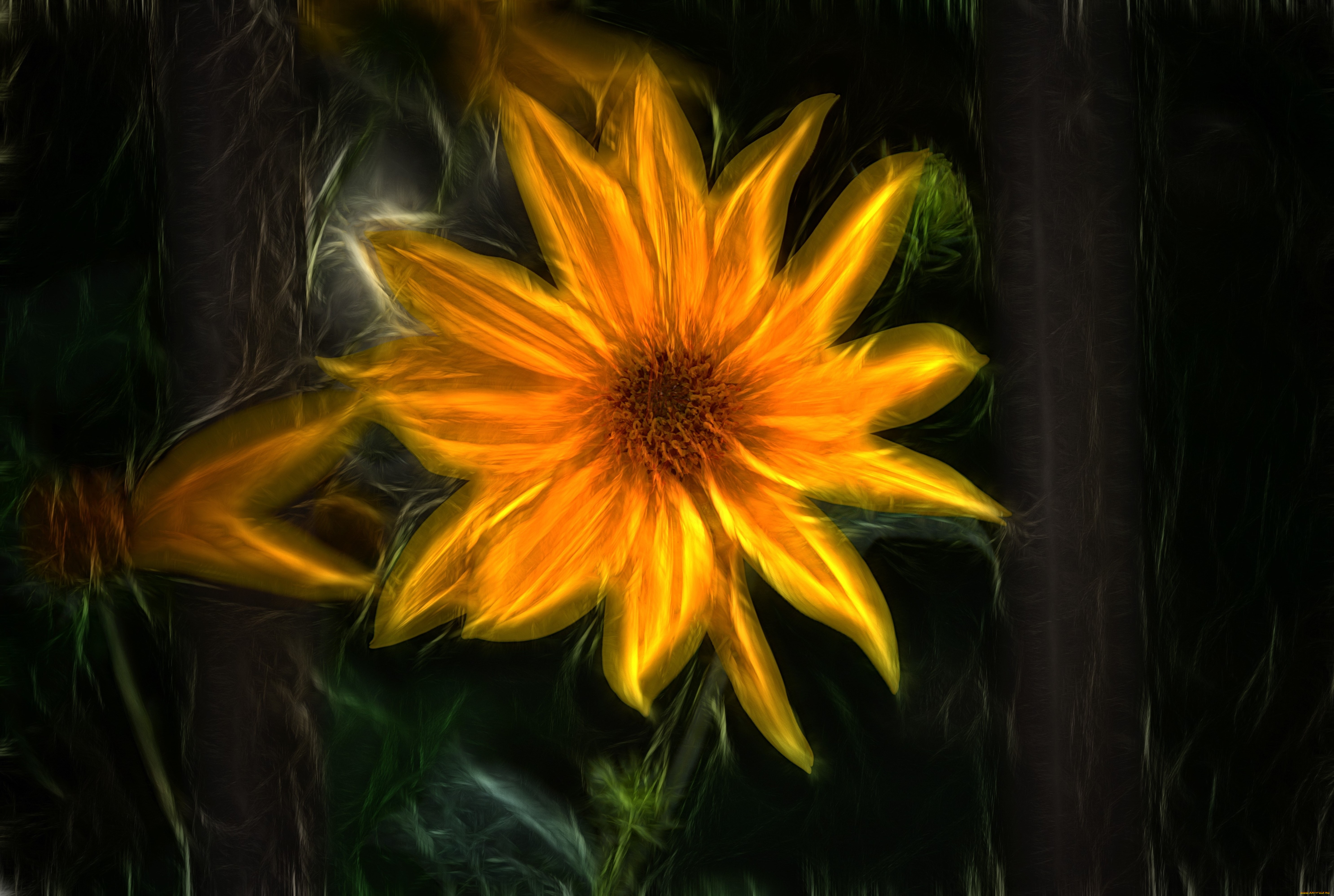 разное, компьютерный, дизайн, цветок