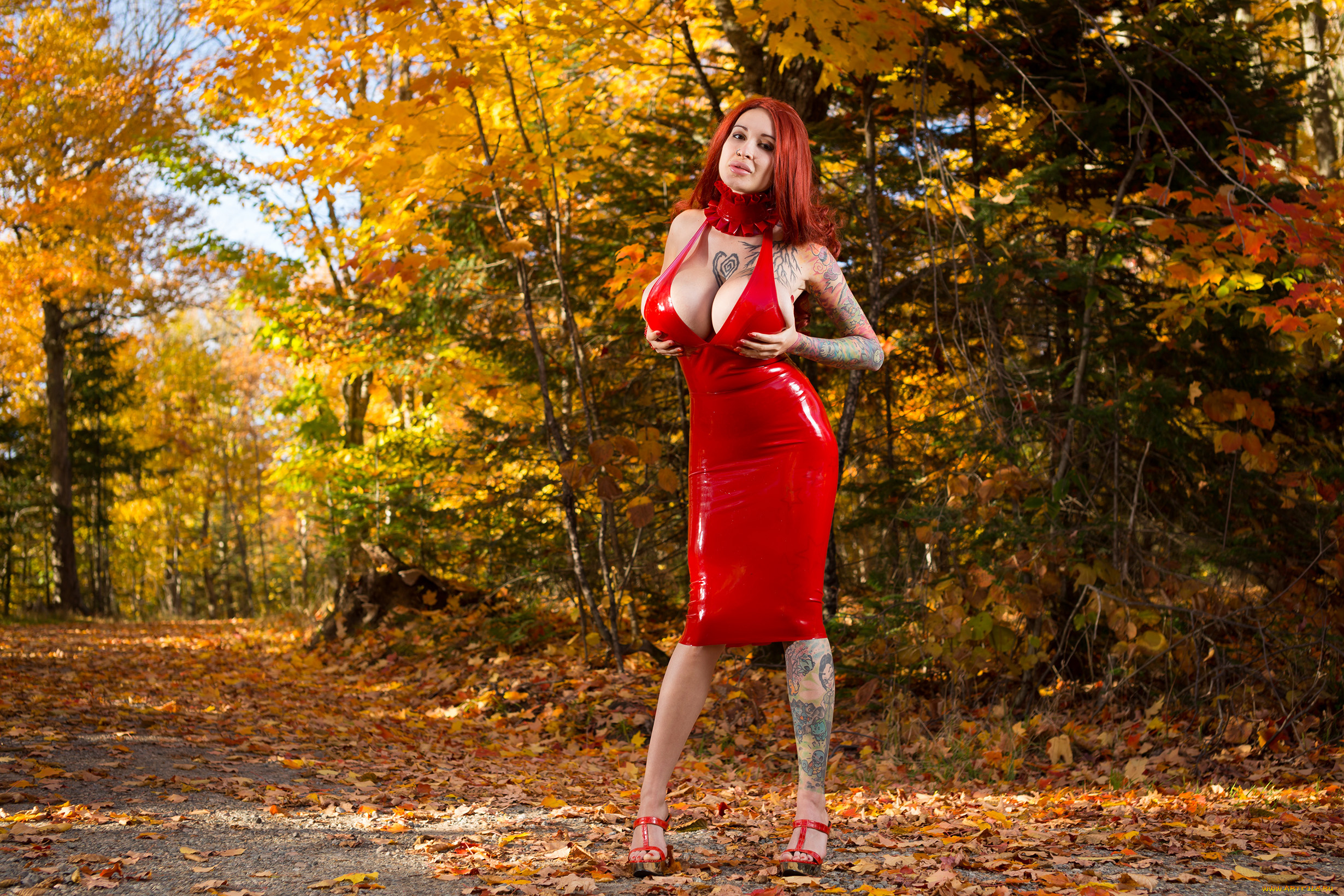 девушки, ariane, saint-amour, взгляд, фон, девушка, лес, латекс