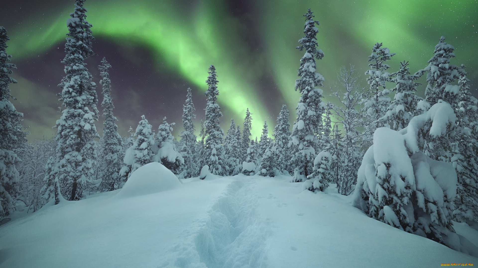 природа, северное, сияние, зима, сияние, деревья, снег, небо, лес