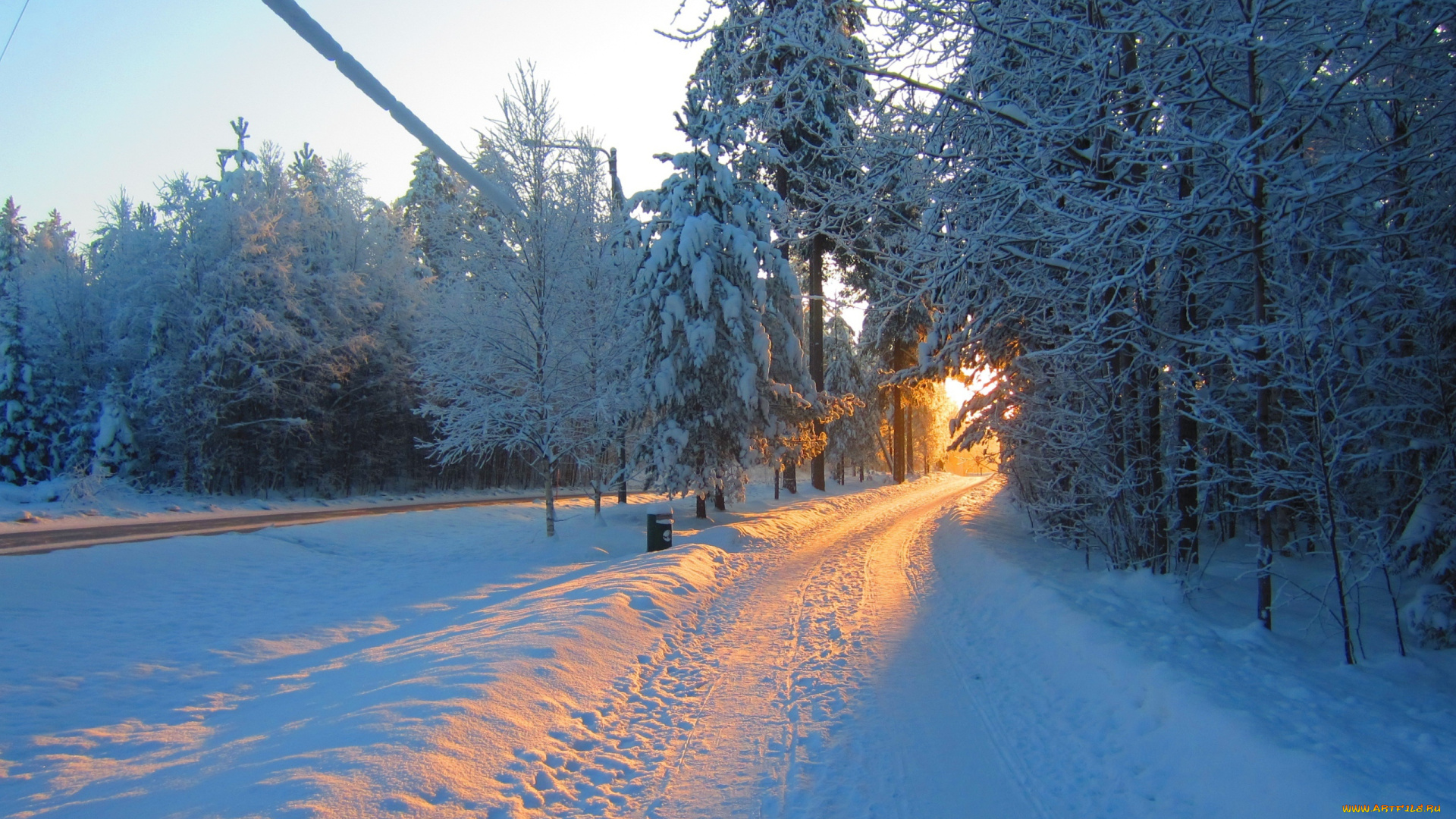 природа, зима, деревья, снег