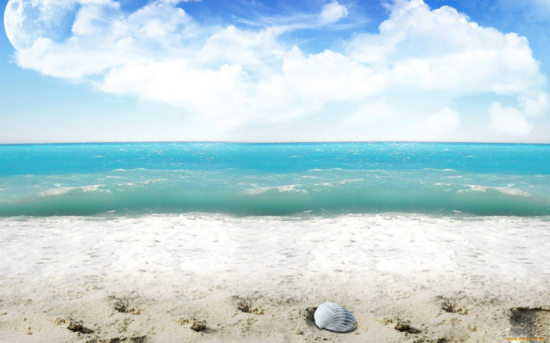 природа, побережье, песок, море, облака, ракушка