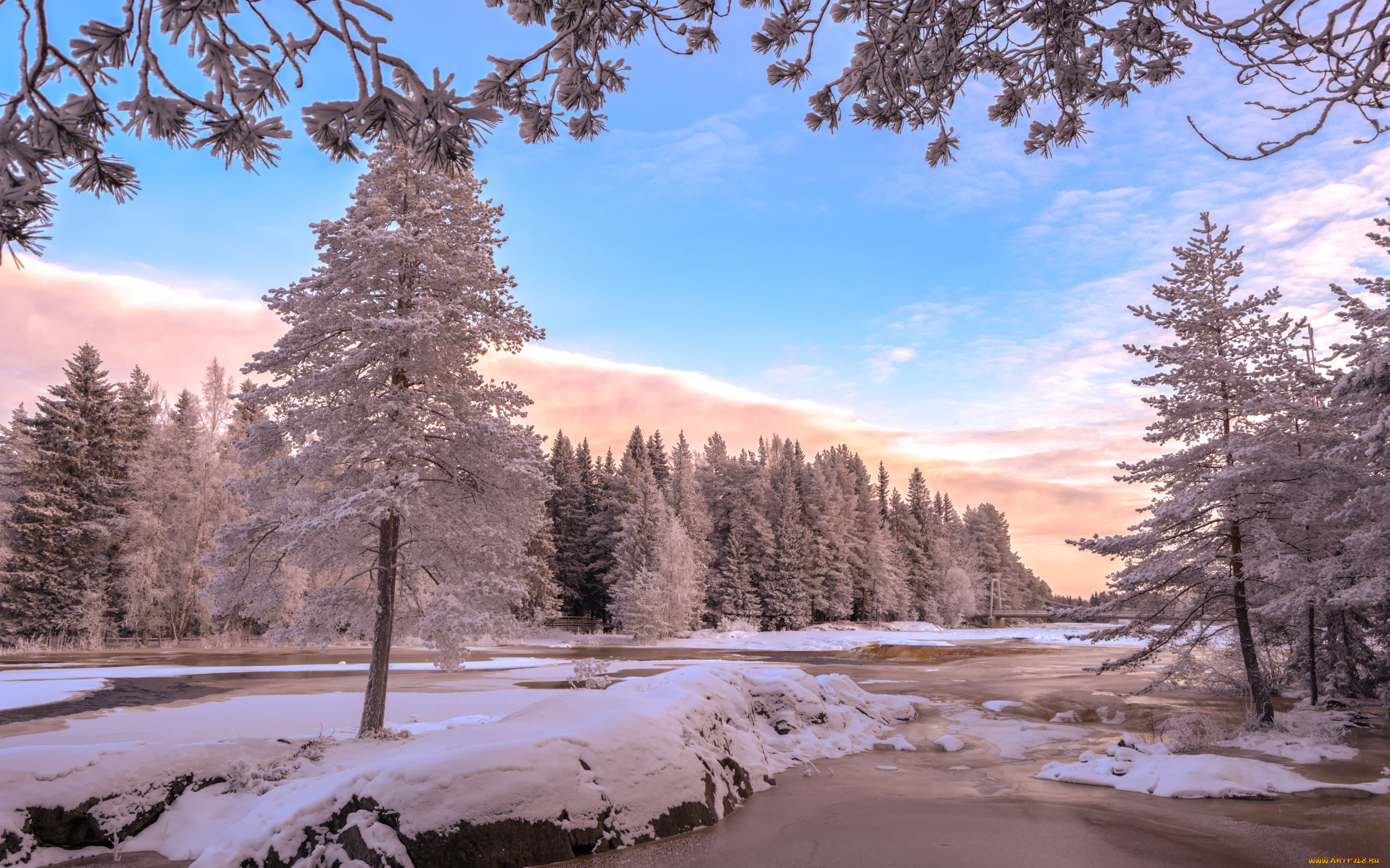 природа, зима, деревья, снег