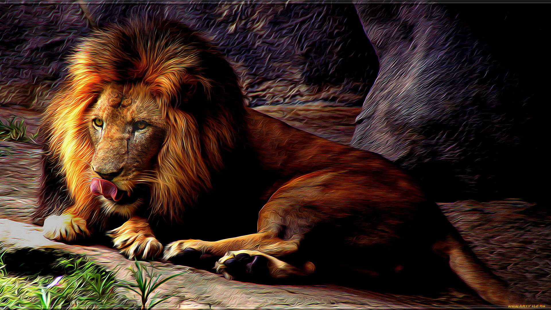 разное, компьютерный, дизайн, лев, царь, зверей, хищник, графика, дизайн